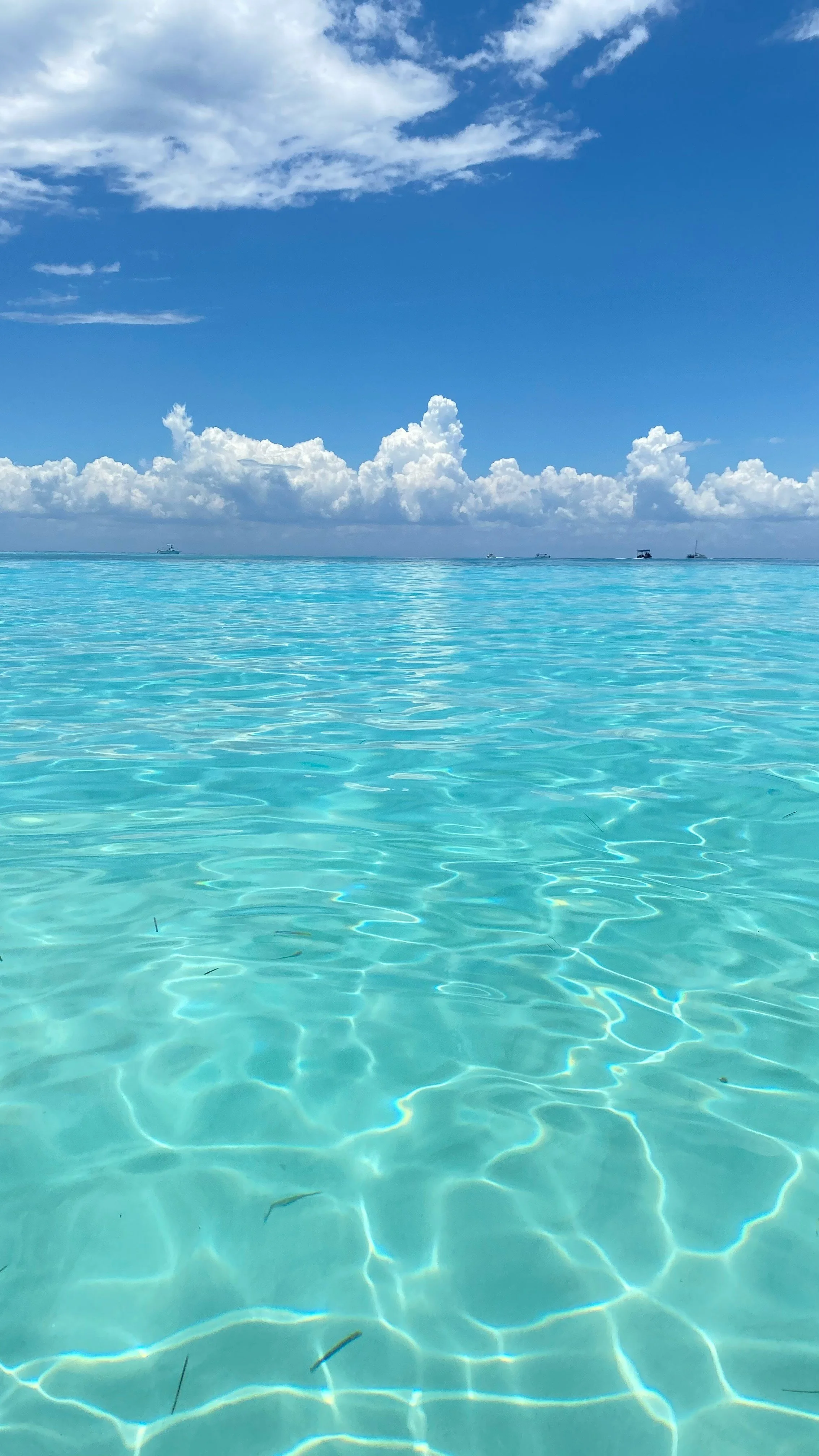 All Inclusive & Beach Vacations