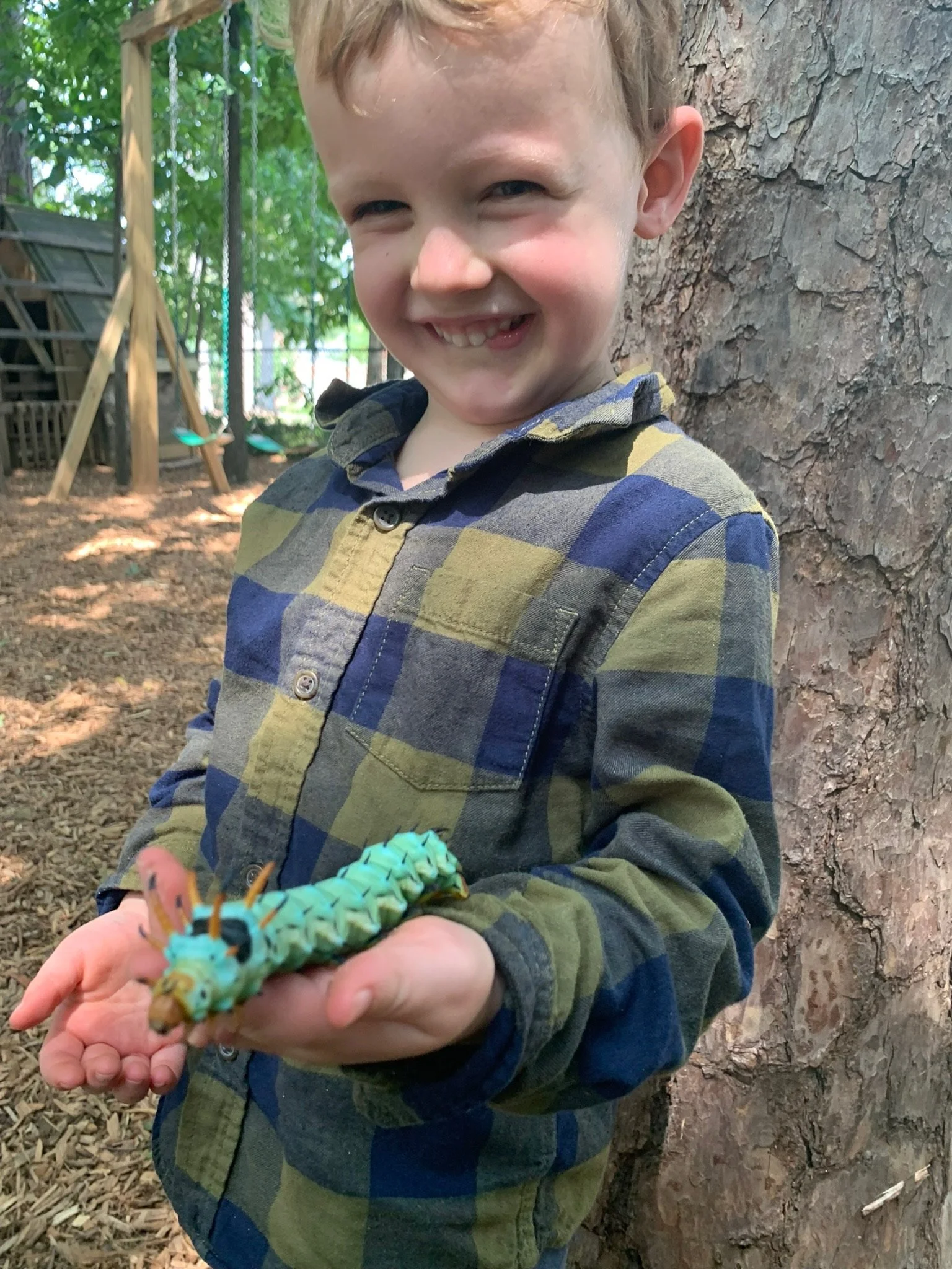 early-childhood-caterpillar.JPG