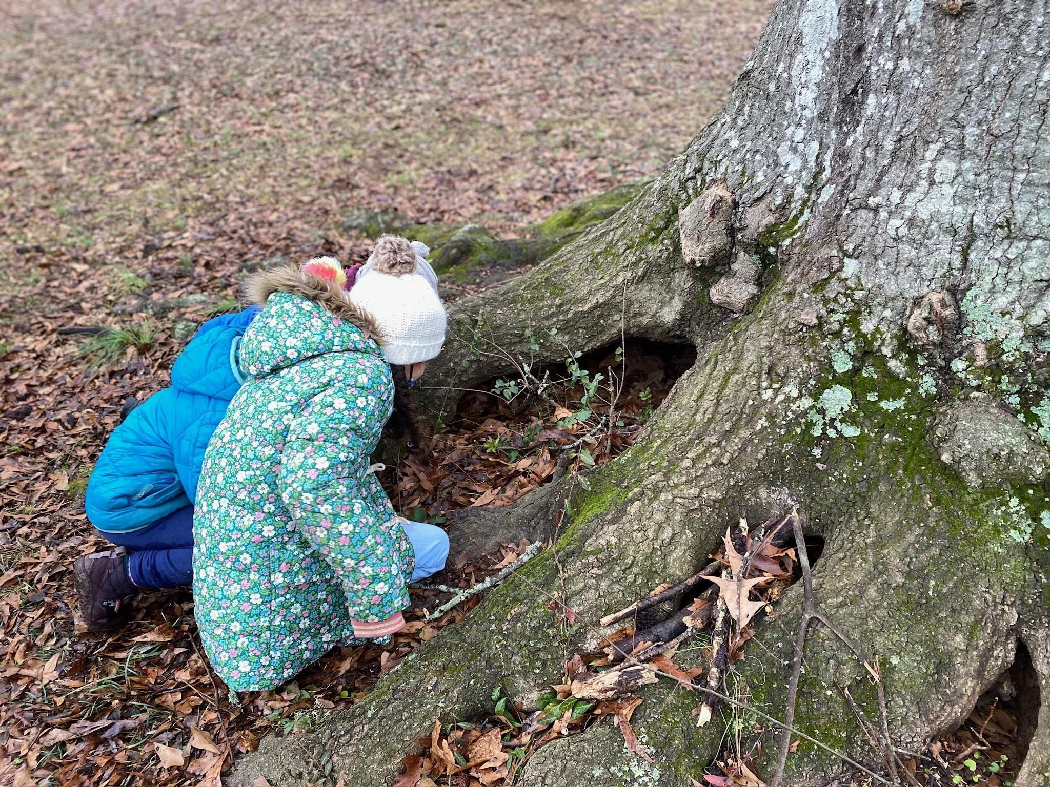 early-childhood-outdoor-play.jpg