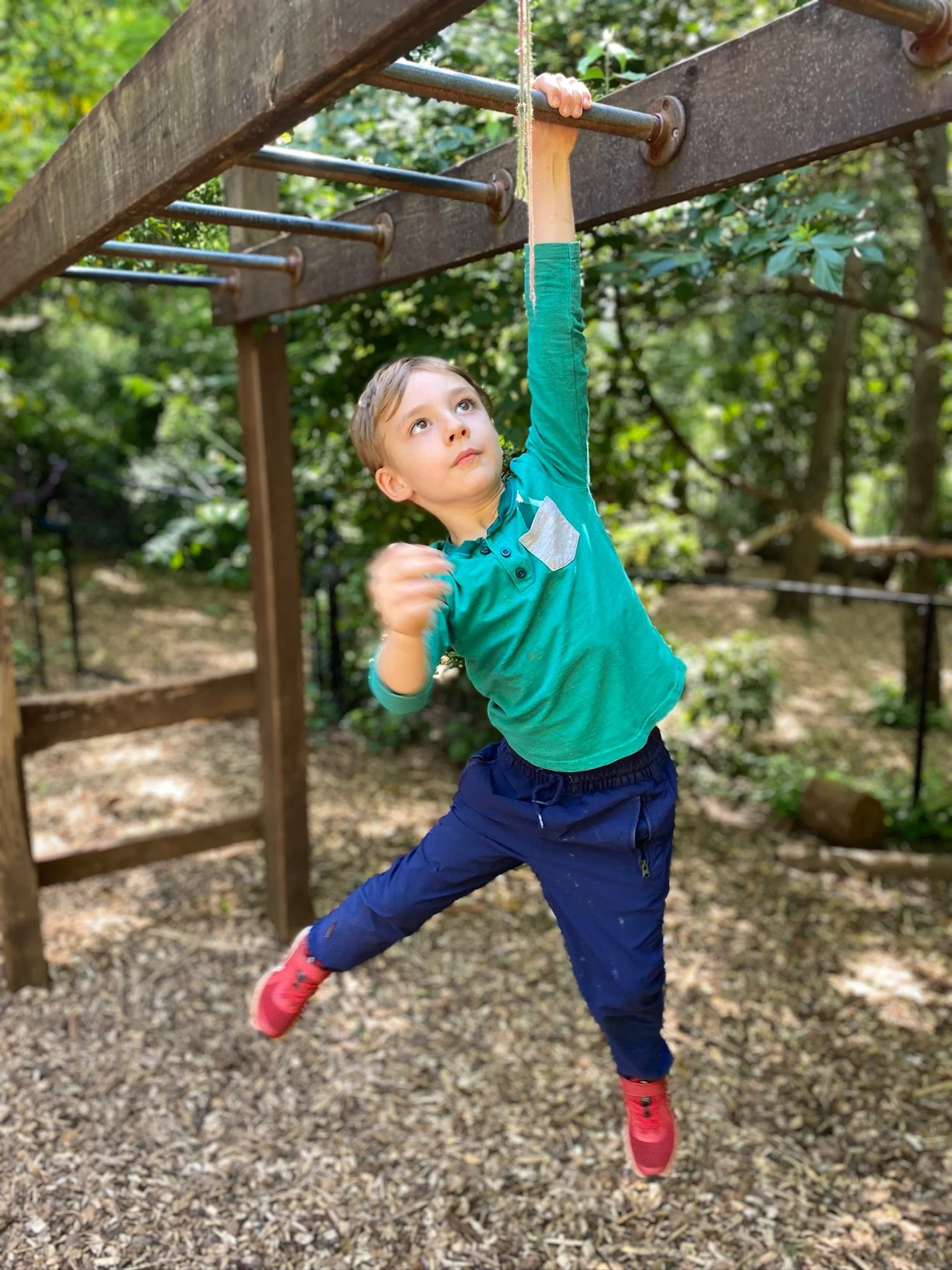 early-childhood-monkey-bars.jpg