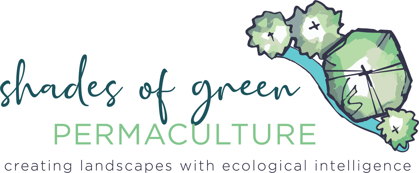 Logo for Shades of Green Permaculture featuring a stylized illustrated frog with green leaves as a body and a blue tail, accompanied by the text "shades of green PERMACULTURE creating landscapes with ecological intelligence."