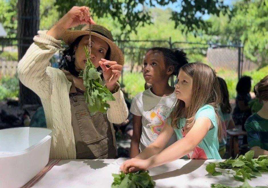 Gardening
