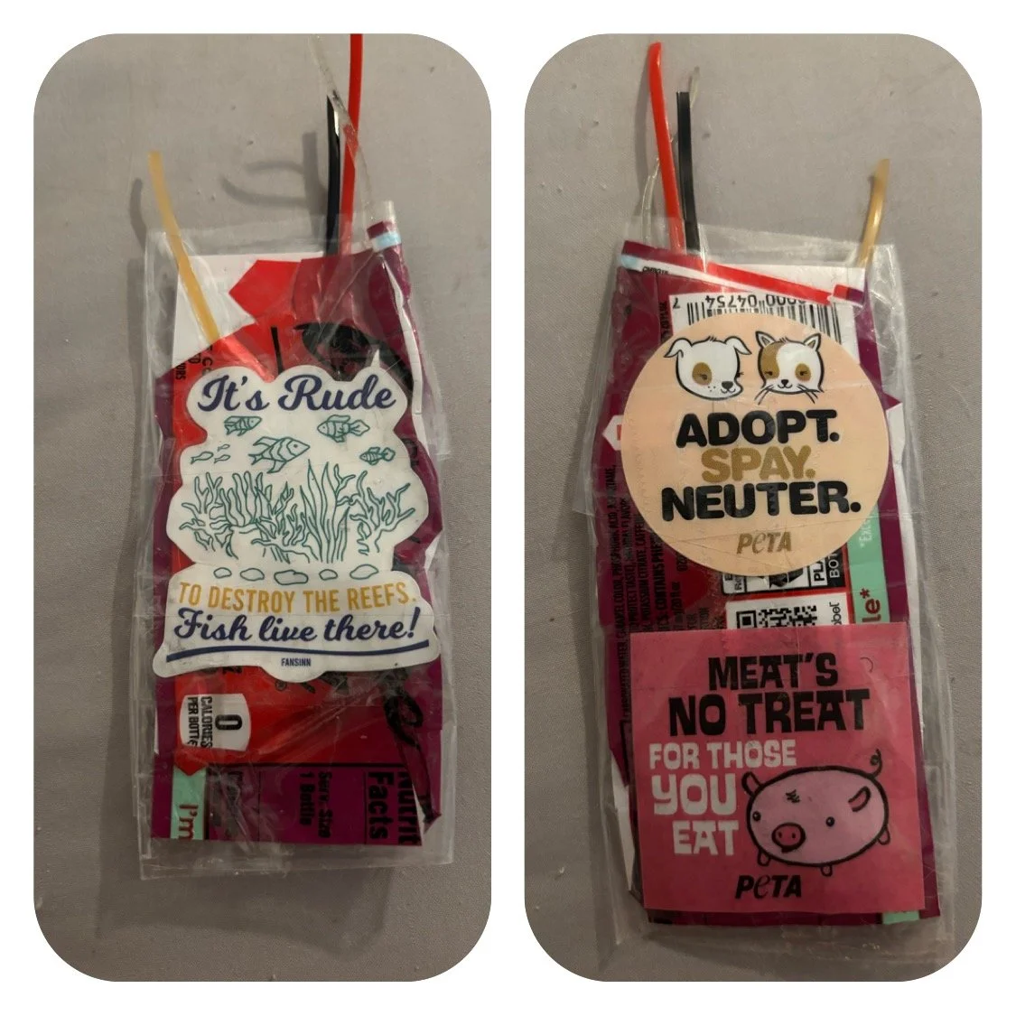 Animal Rights Bookmark.JPG