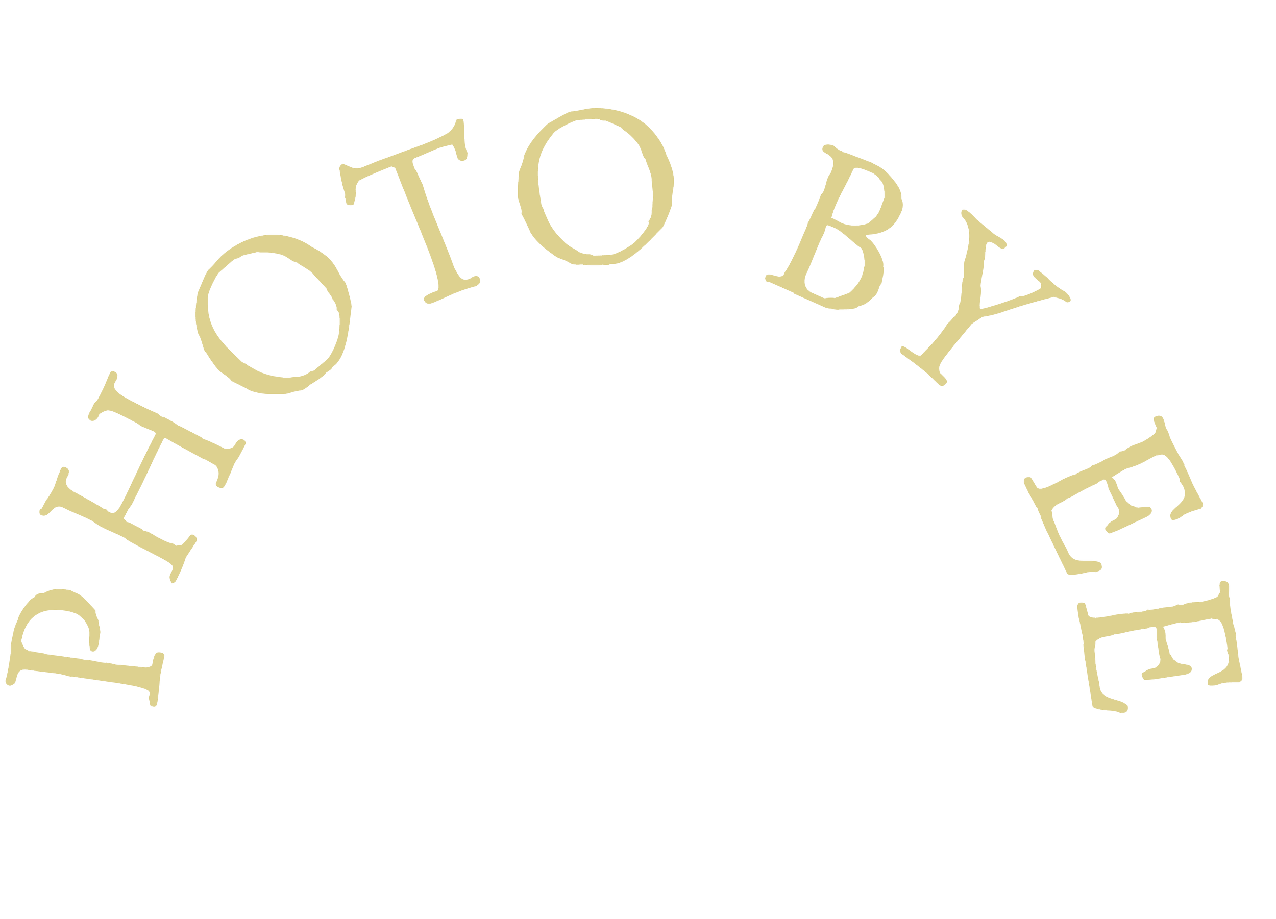 Stylized text that says 'Everybody loves Elsa' in a circular pattern with a black background.