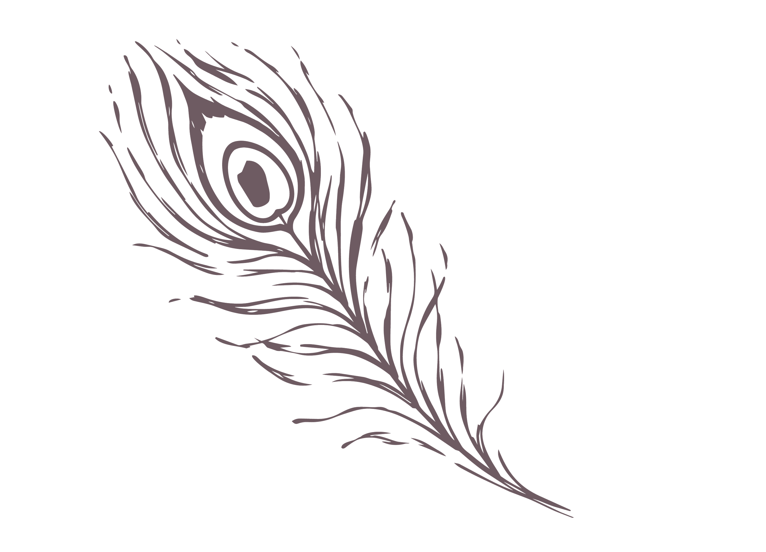 A stylized illustration of a peacock feather in shades of gray and purple on a black background.