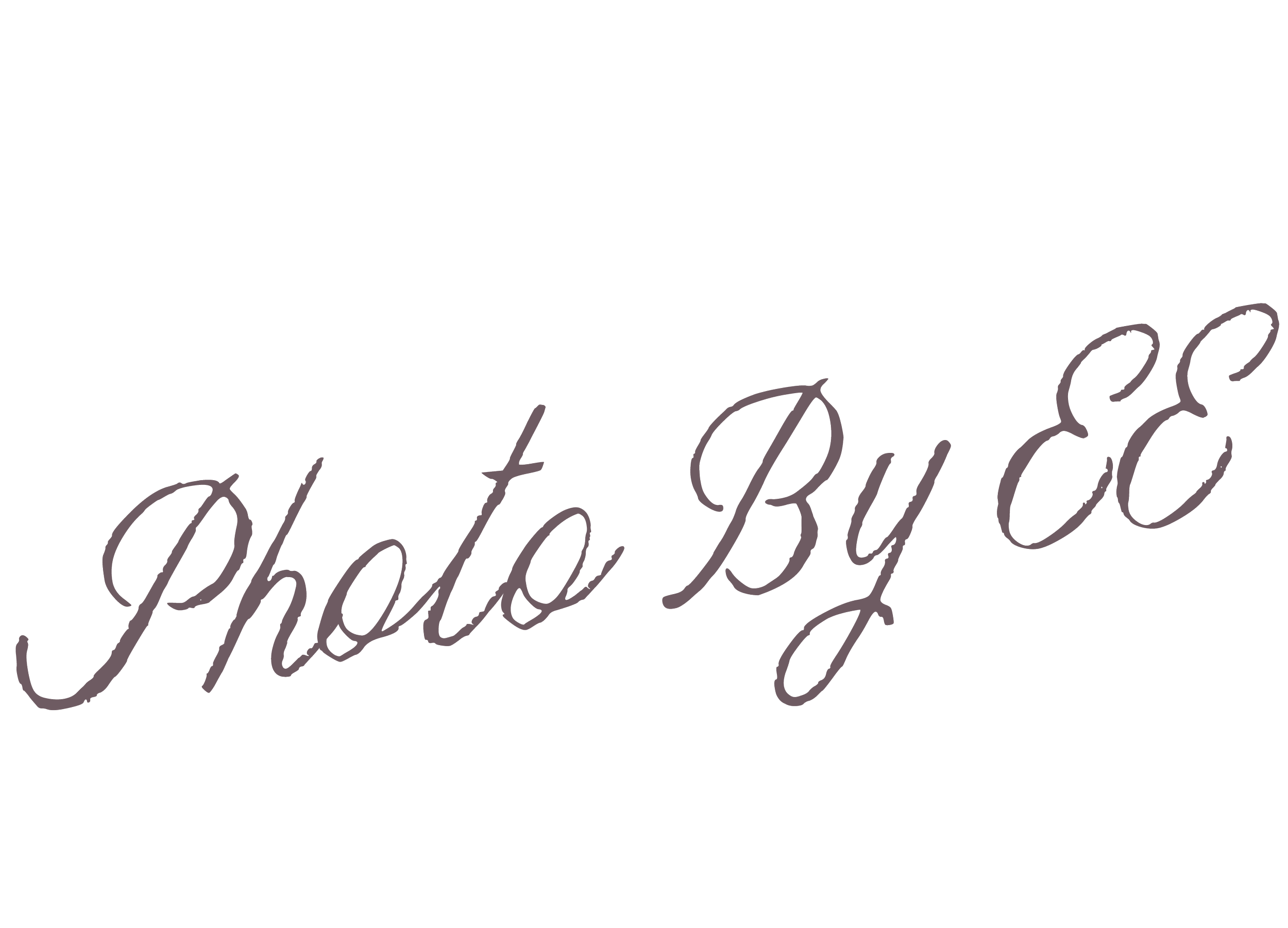 Black background with cursive text that says "Chic & Bold" in gray.