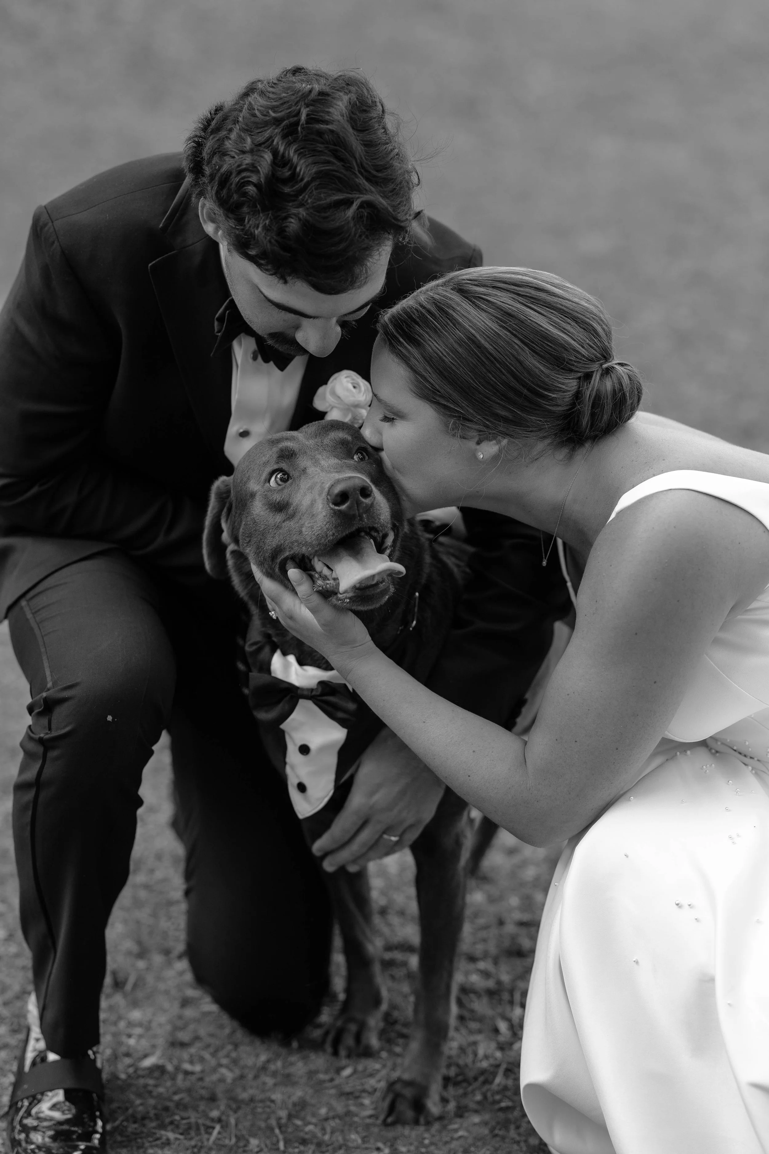 A man and a woman share a kiss on the head while holding a happy dog, dressed in a tuxedo and gown, at a wedding.