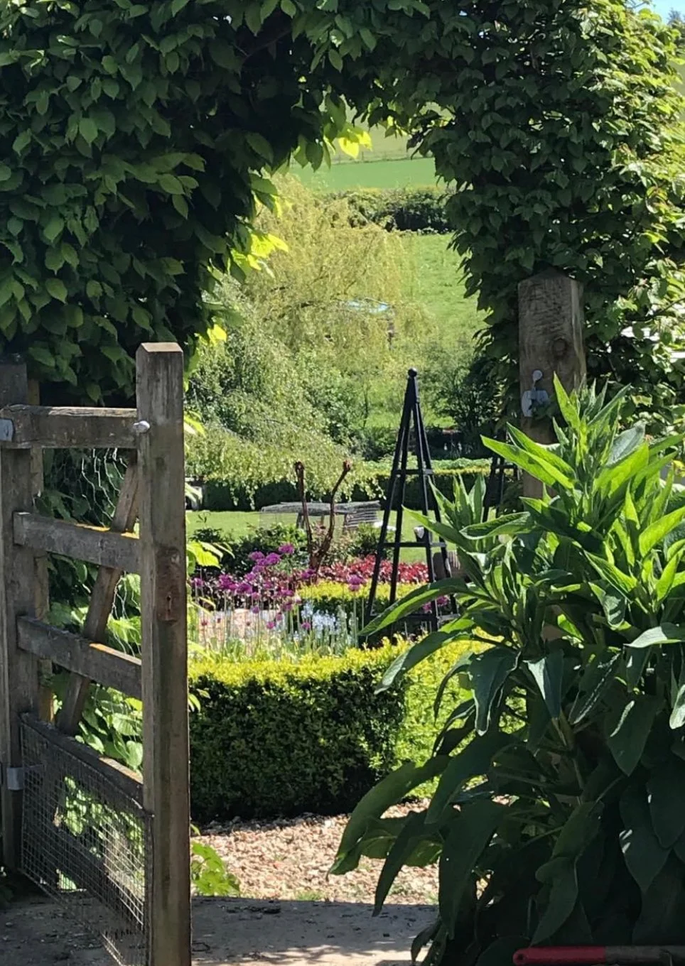 View through a garden gate framing a lush garden with colorful flowers, plants, and gardening tools, with a green field and trees in the background.