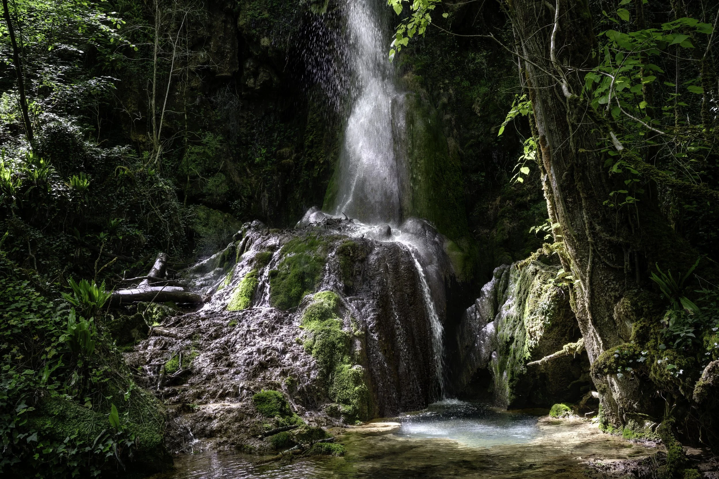 "how to integrate an ayahuasca experience"
"help processing a psychedelic experience"
"feeling unmoored after retreat"
"spiritual emergence support"
"psychedelic integration therapist”
"preparing for an ayahuasca ceremony"