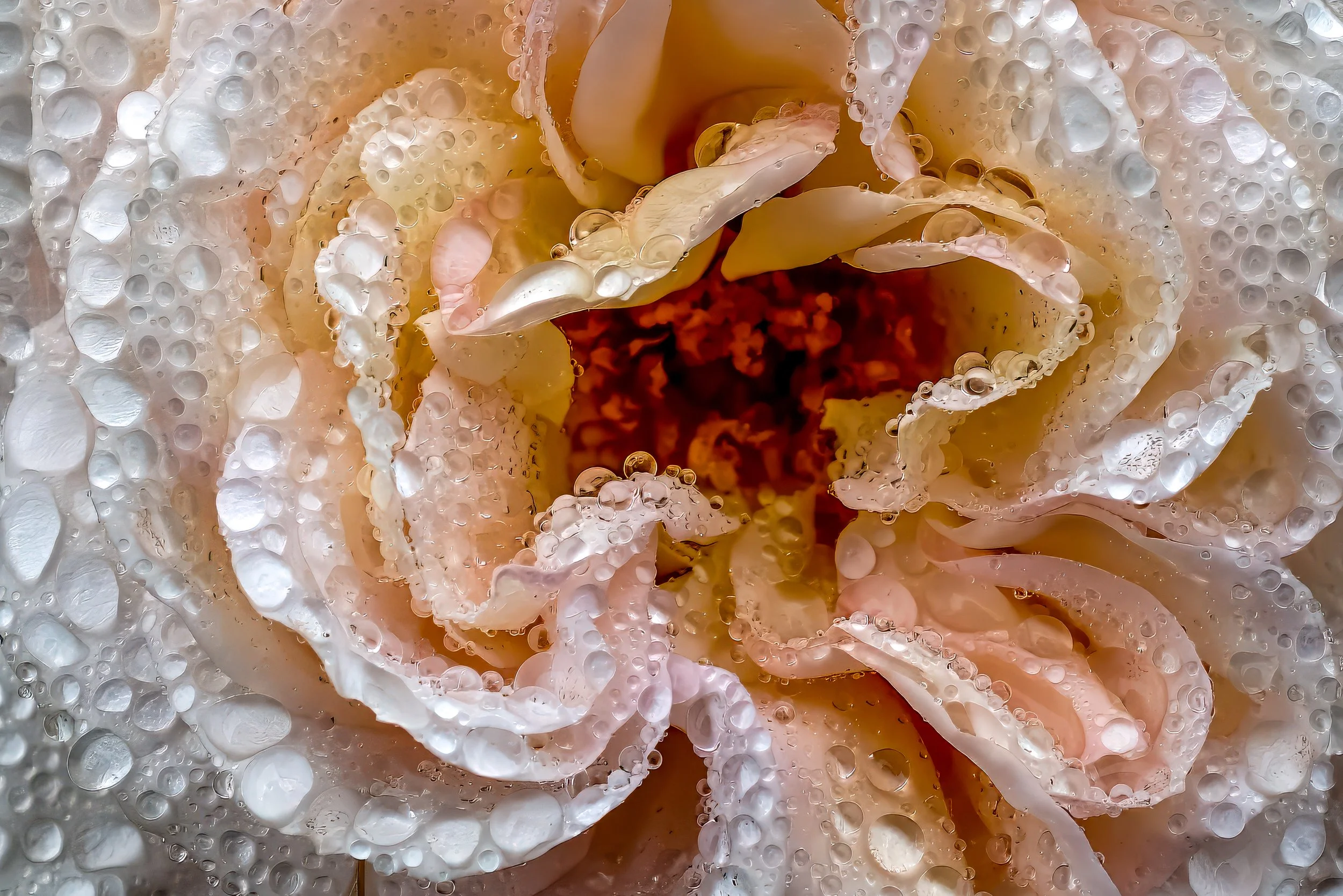 how to integrate an ayahuasca experience
help processing a psychedelic experience
feeling unmoored after retreat
spiritual emergence support
psychedelic integration therapist
preparing for an ayahuasca ceremony
psychedelic integration for trauma