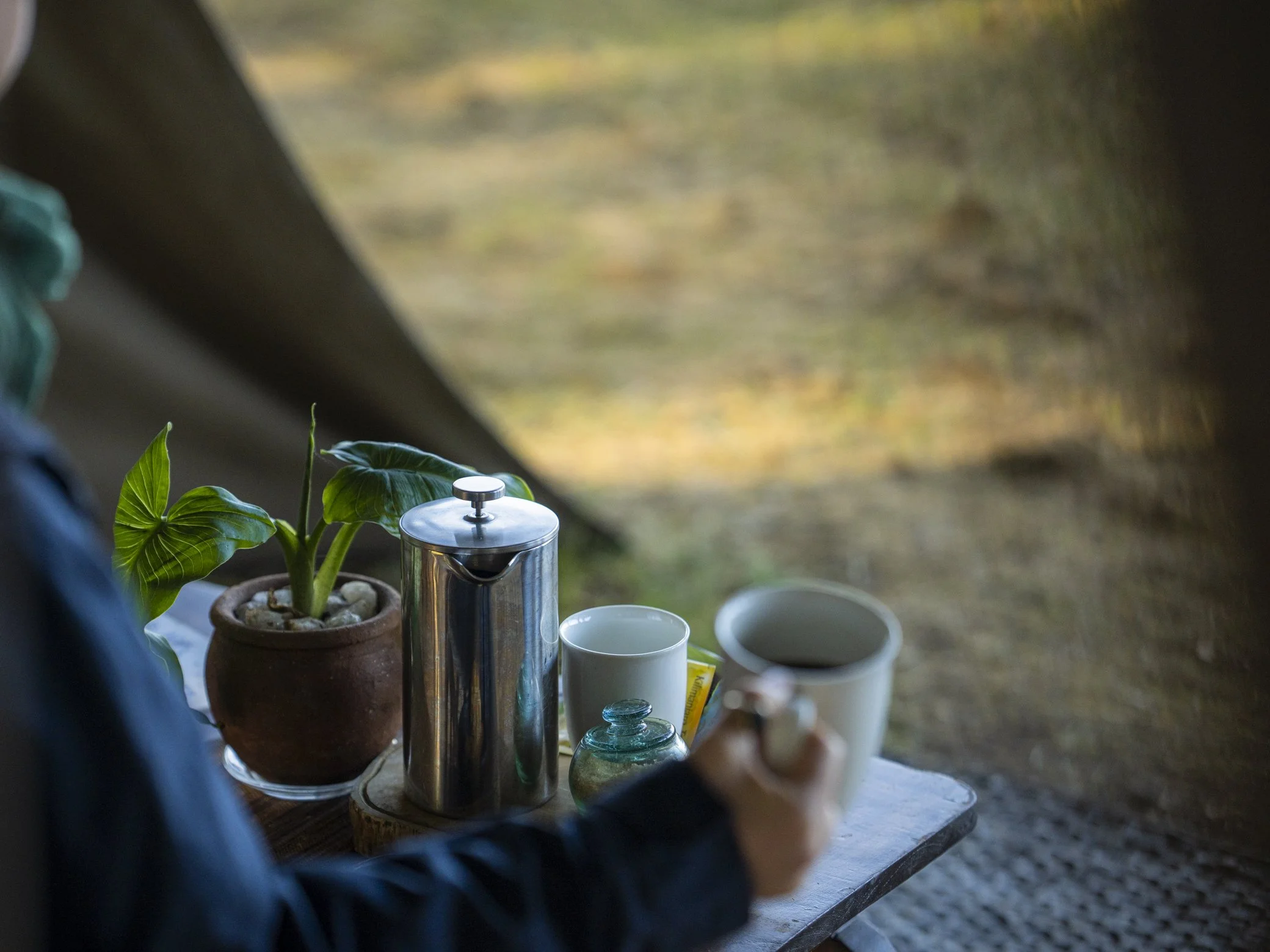 A table with a potted plant, a metal container, white cups, and a small glass jar, set outdoors with a blurred background.