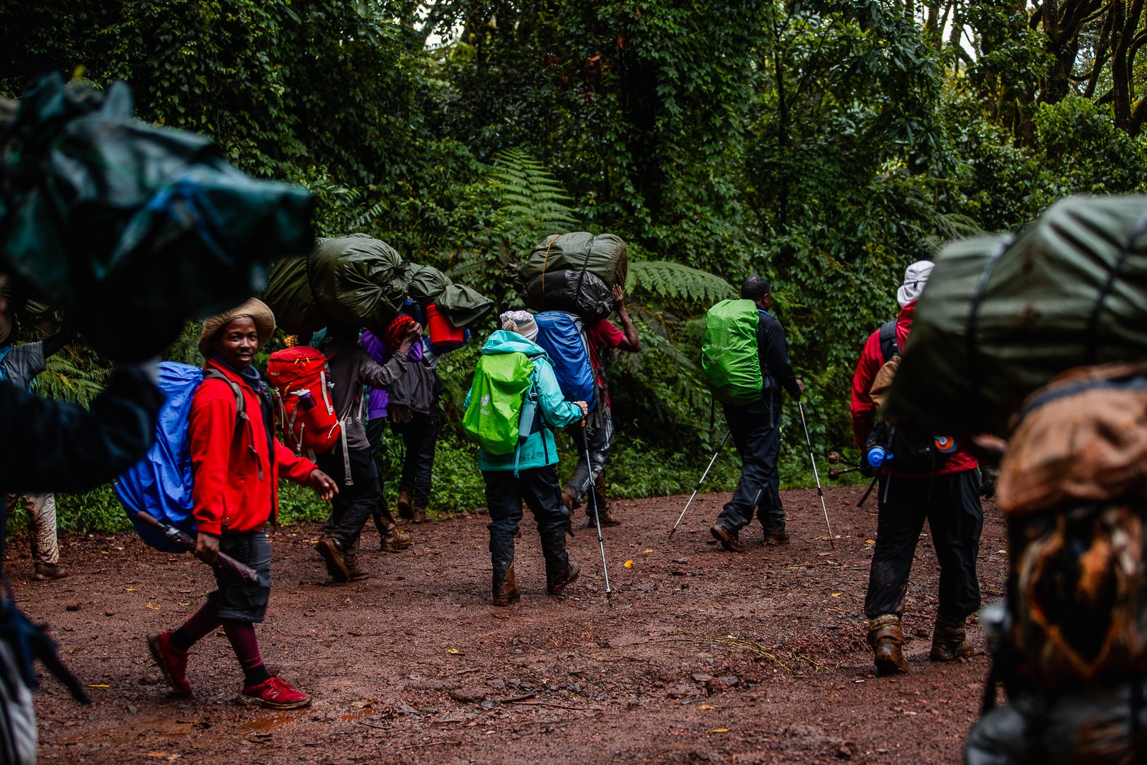 Group of hikers walking through a lush, green forest with large backpacks and trekking poles.