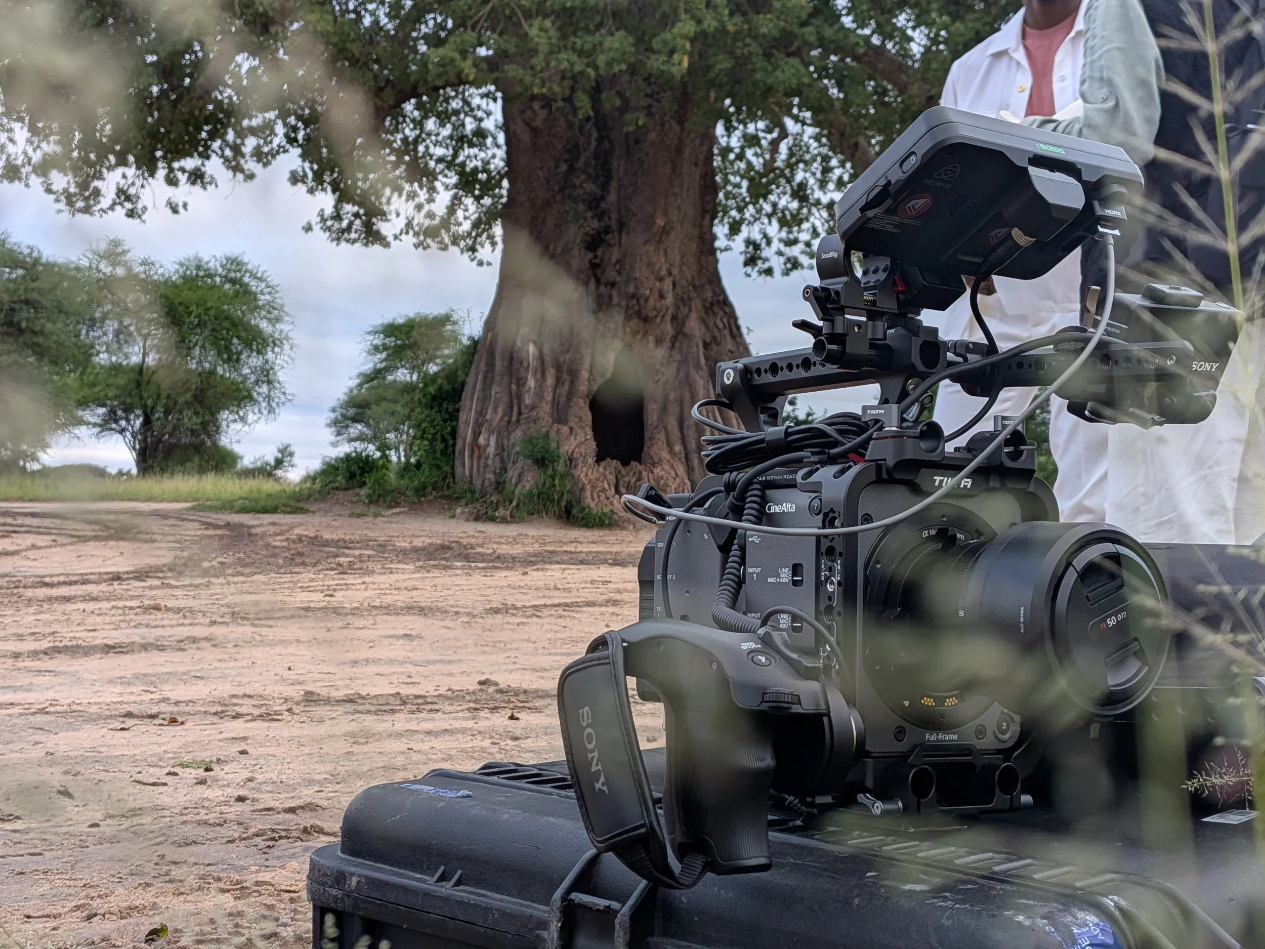 Close-up view of a professional camera mounted on a stabilizer, set outdoors on a dirt ground near a large tree with green foliage, with a person partially visible in the background.