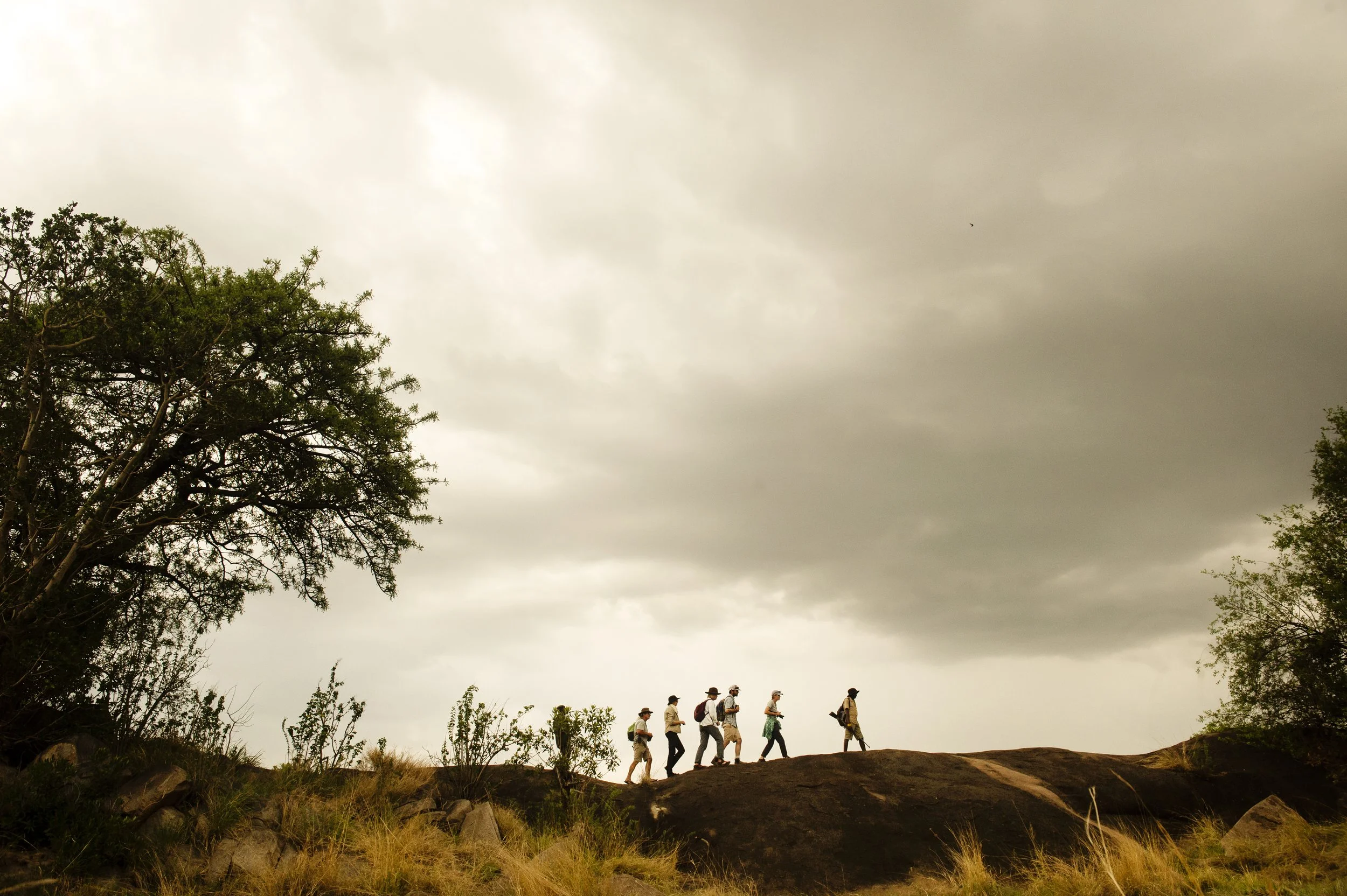 A group of hikers walking along a trail on a hill under a cloudy sky, with trees and grass in the foreground.