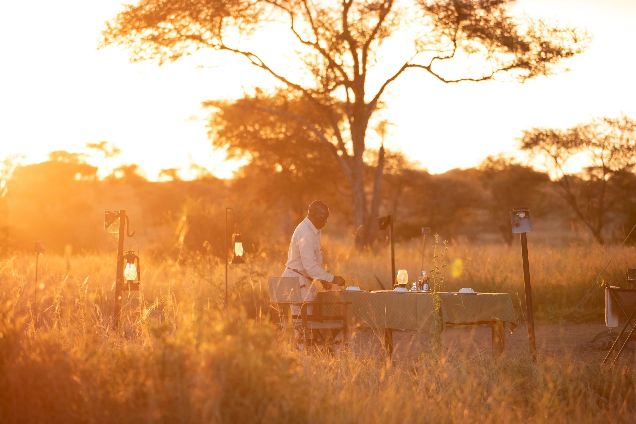 A person wearing white cooking attire preparing food outdoors during sunset, with a large tree and other trees in the background.