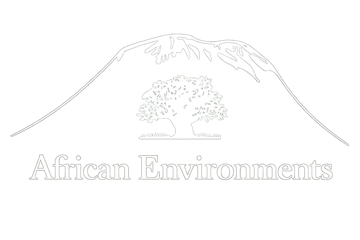 African Environments
