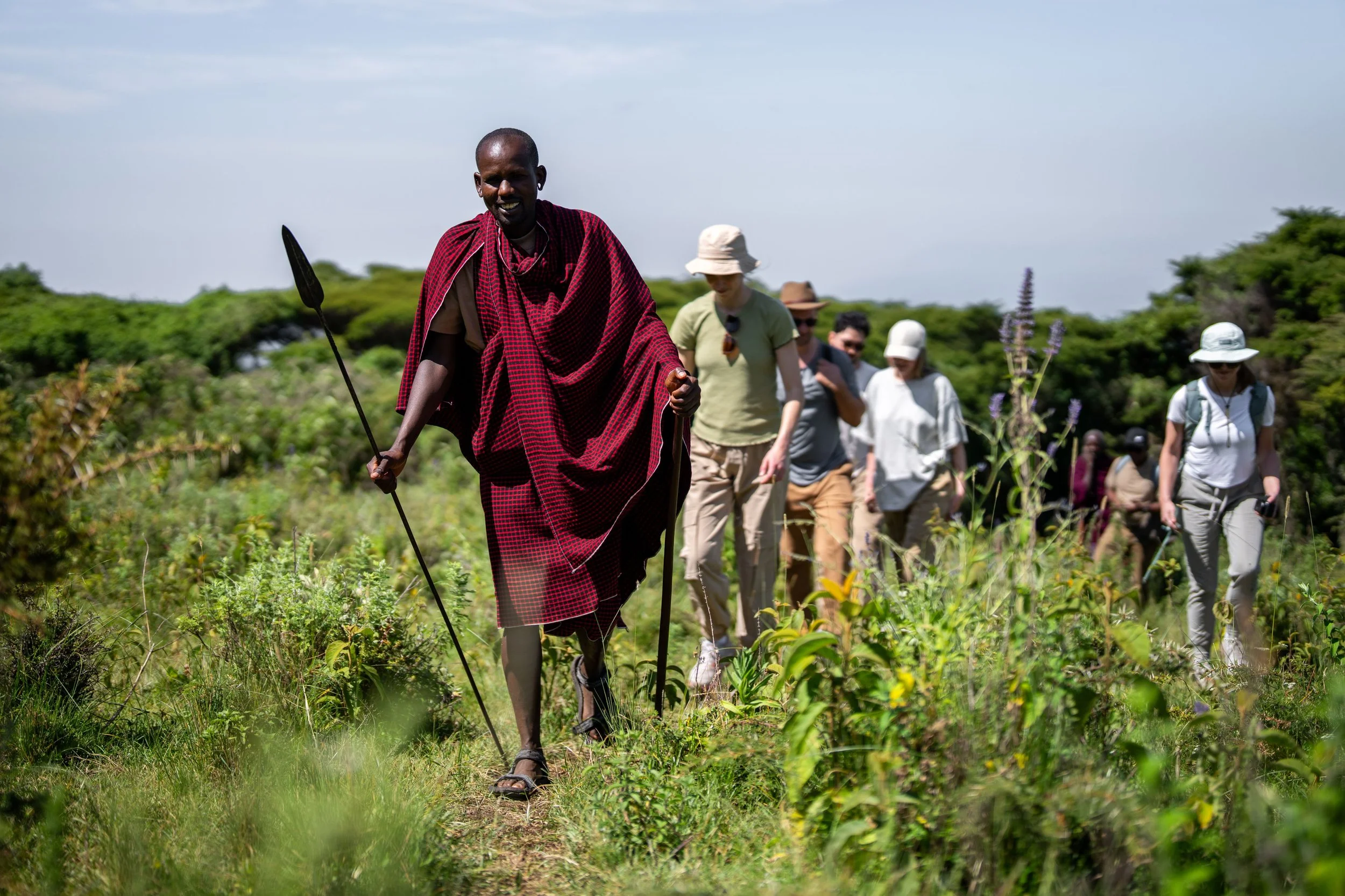 A group of diverse tourists walking through a lush green field with an Maasai guide leading them. The Maasai guide is dressed traditionally in red and black textile, holding a staff, and smiling. The tourists are wearing casual outdoor clothing and hats, and are following in a line under a partly cloudy sky.