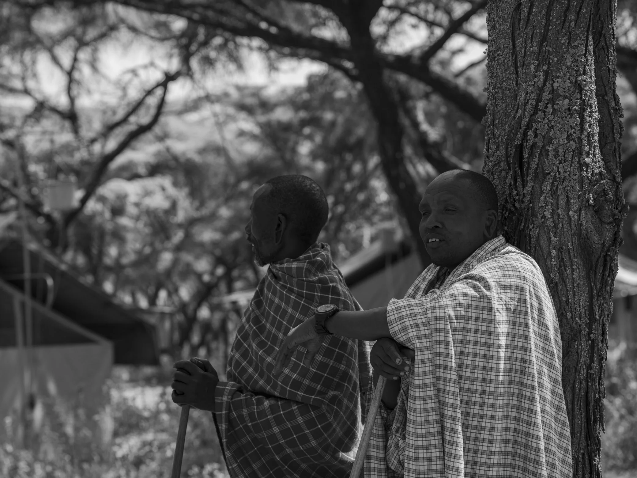 Two young boys leaning against a tree in an outdoor setting with blurry trees and structures in the background. One boy is wearing a checkered shirt and the other is in a striped shirt, both appearing to be engaged in a quiet moment.