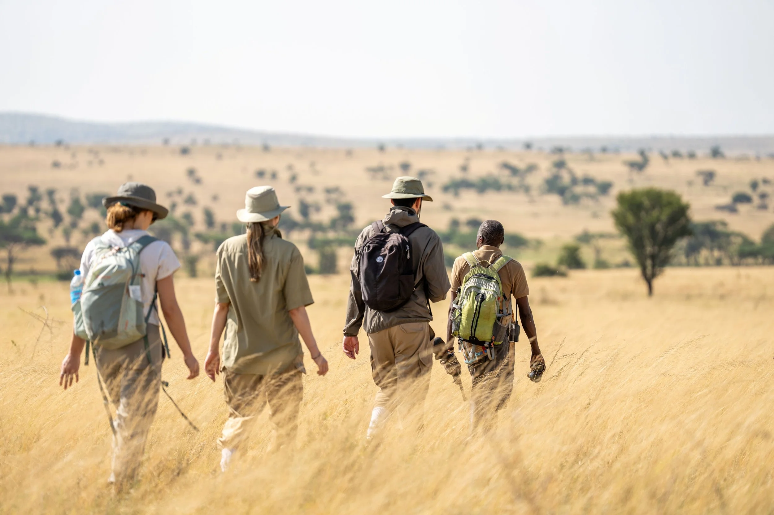 A group of five people, dressed in hiking gear, walking through a grassy savannah landscape with sparse trees and distant hills under a bright sky.