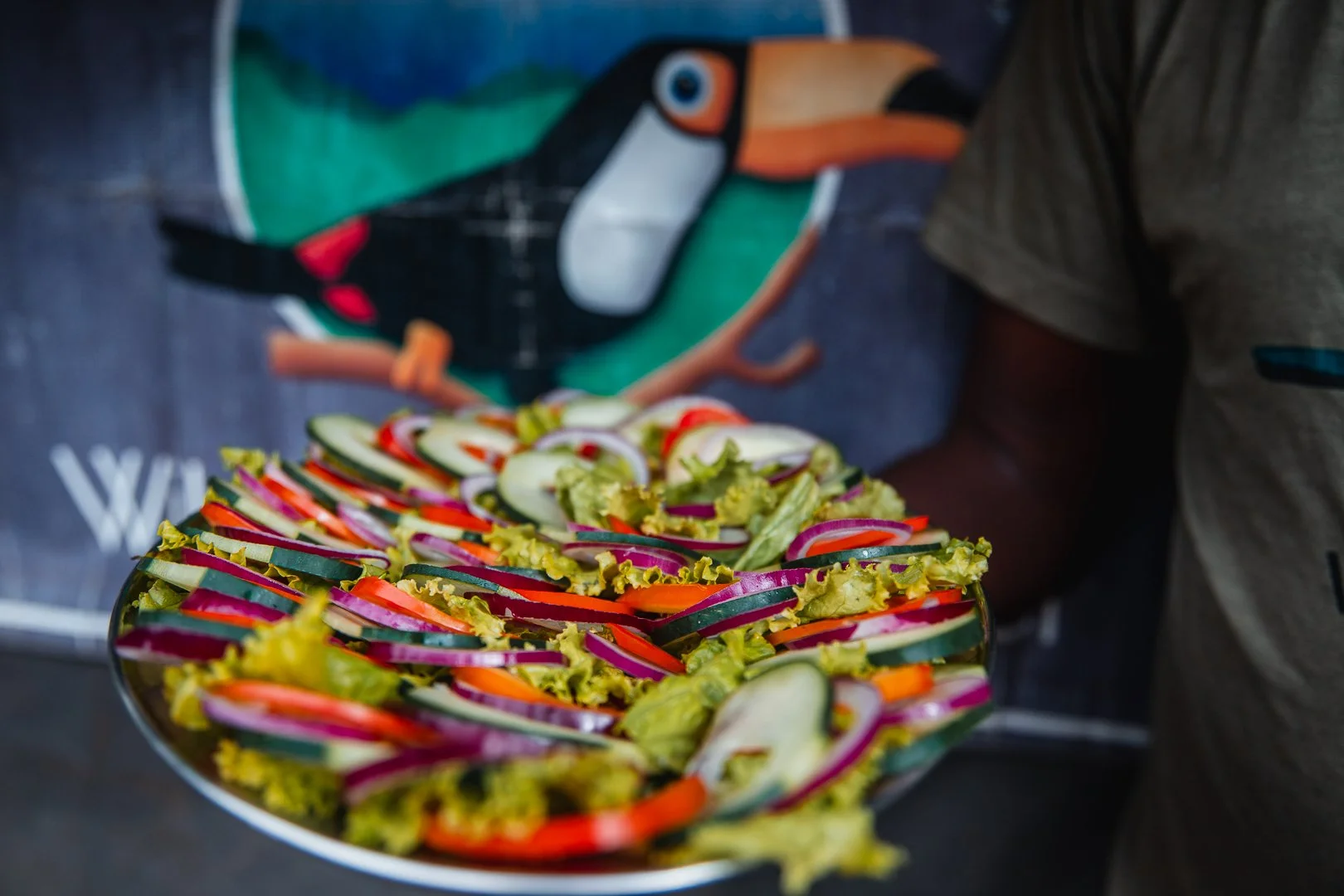A plate of assorted sliced vegetables including cucumbers, carrots, radishes, and lettuce.