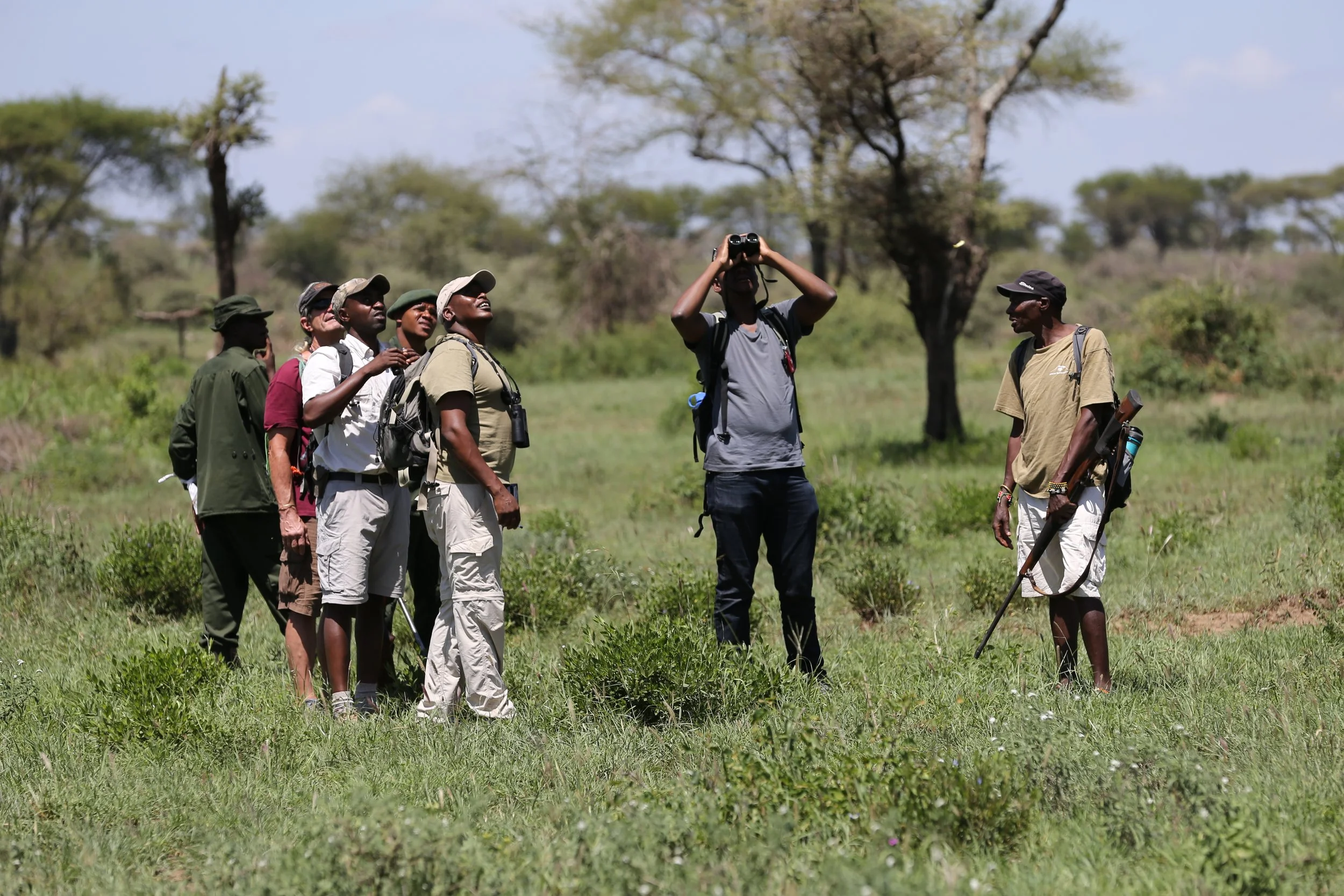 A group of seven people standing outdoors in a grassy area with trees, one person holding binoculars and looking at the sky, others observing or chatting.