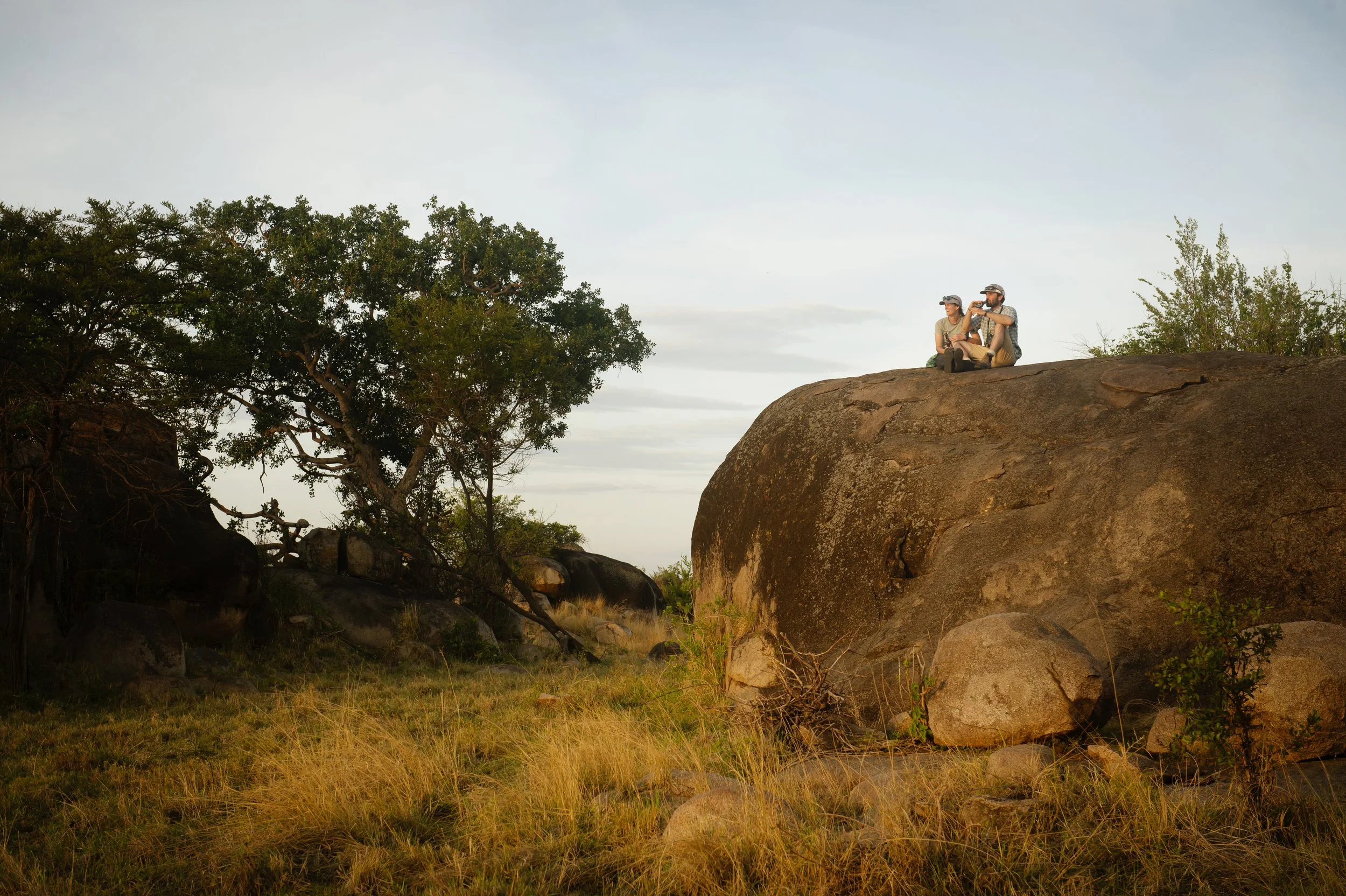 Two people sitting on a large rock in a natural landscape with trees and grass, looking into the distance during sunset or sunrise.