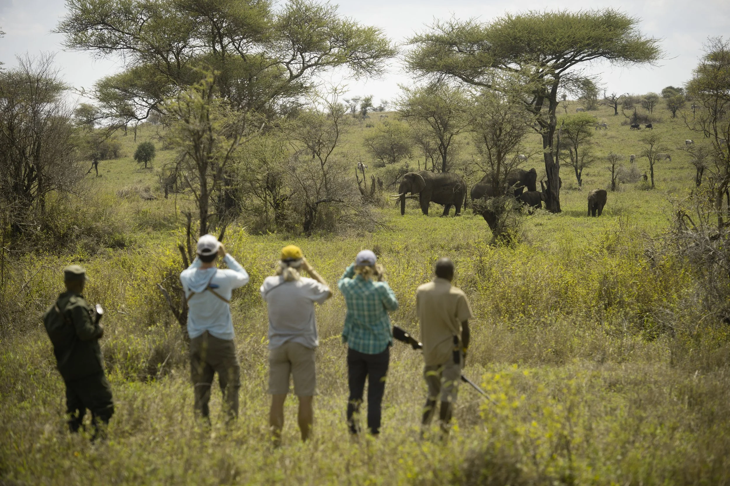 Best Time to Visit Tanzania – Safari Seasons Explained Month by Month