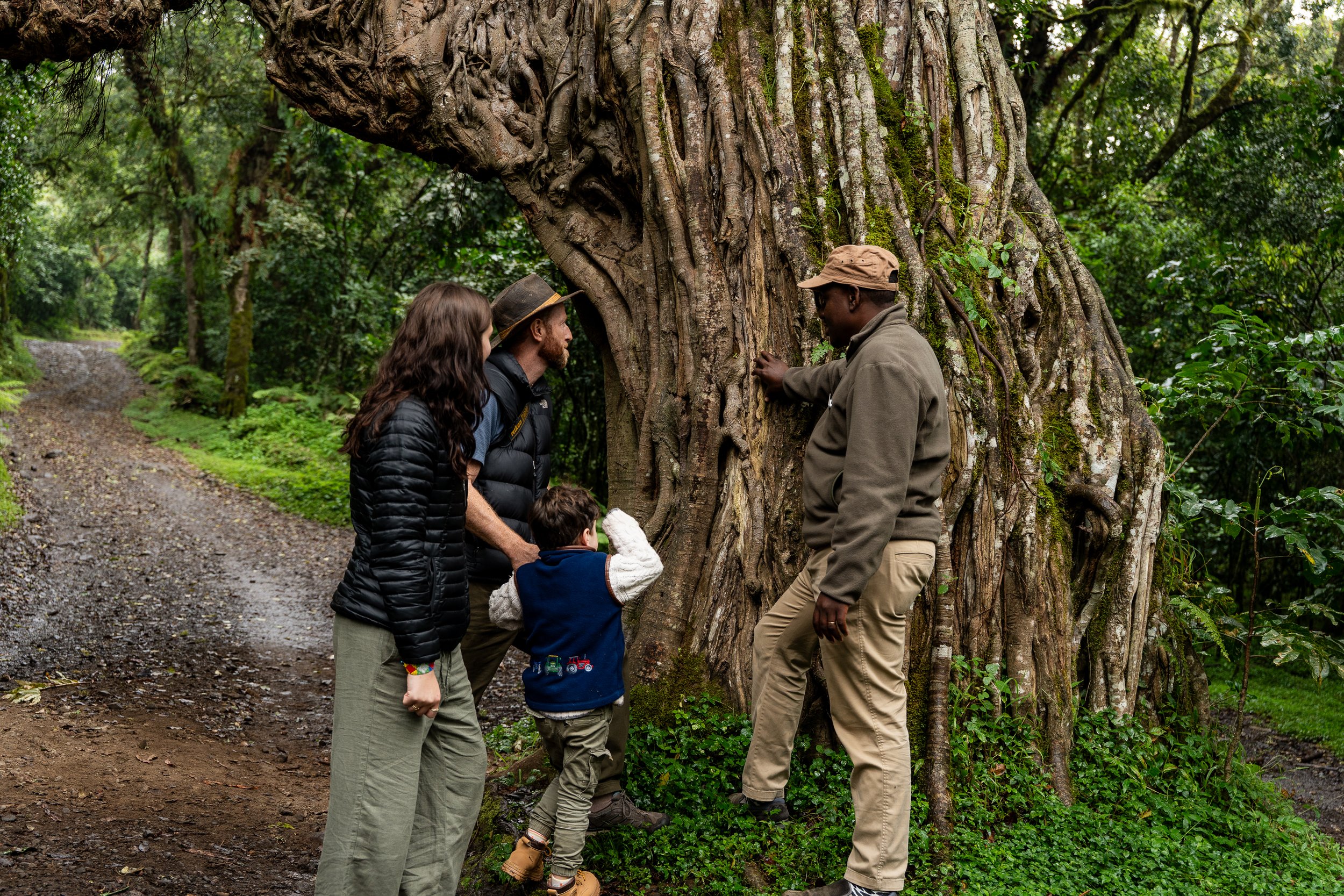A family walking near a tree looking at the bark with their guide