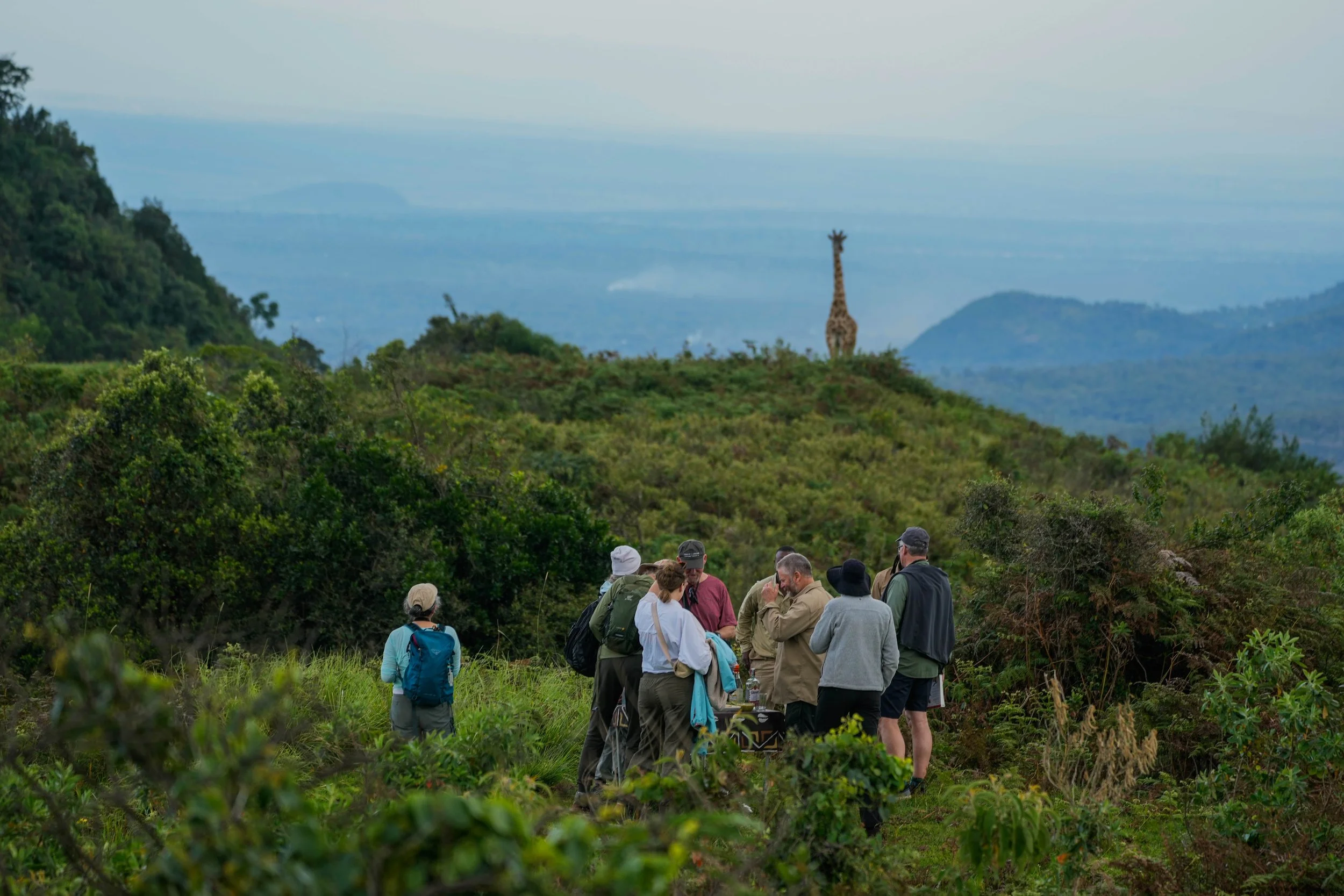 A group of people in outdoor clothing and backpacks gathered on a hillside in a lush, green landscape observing a giraffe standing on a hill in the distance. The background features rolling hills and a cloudy sky.