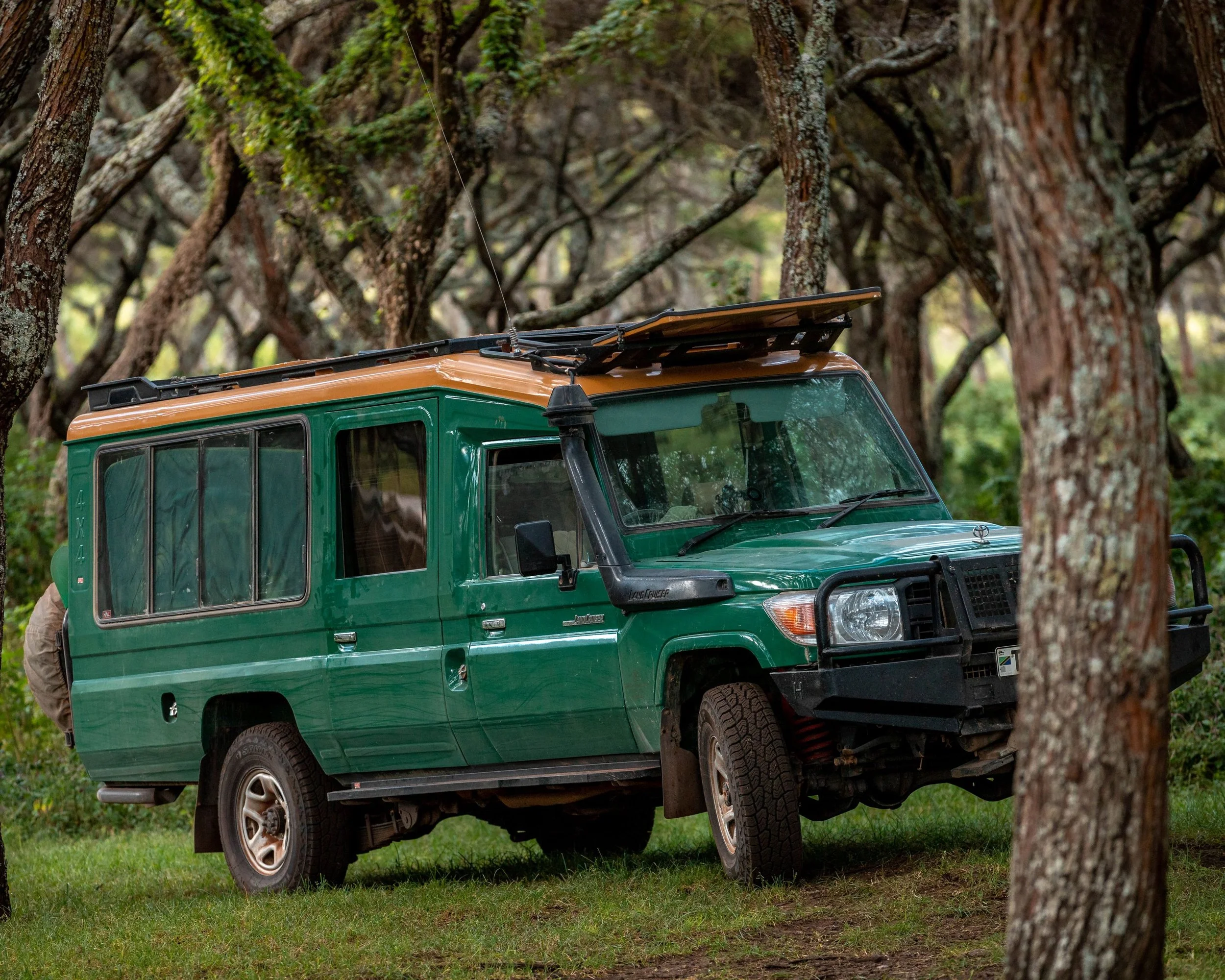 A green and orange off-road vehicle parked on grass among trees in a forested area.