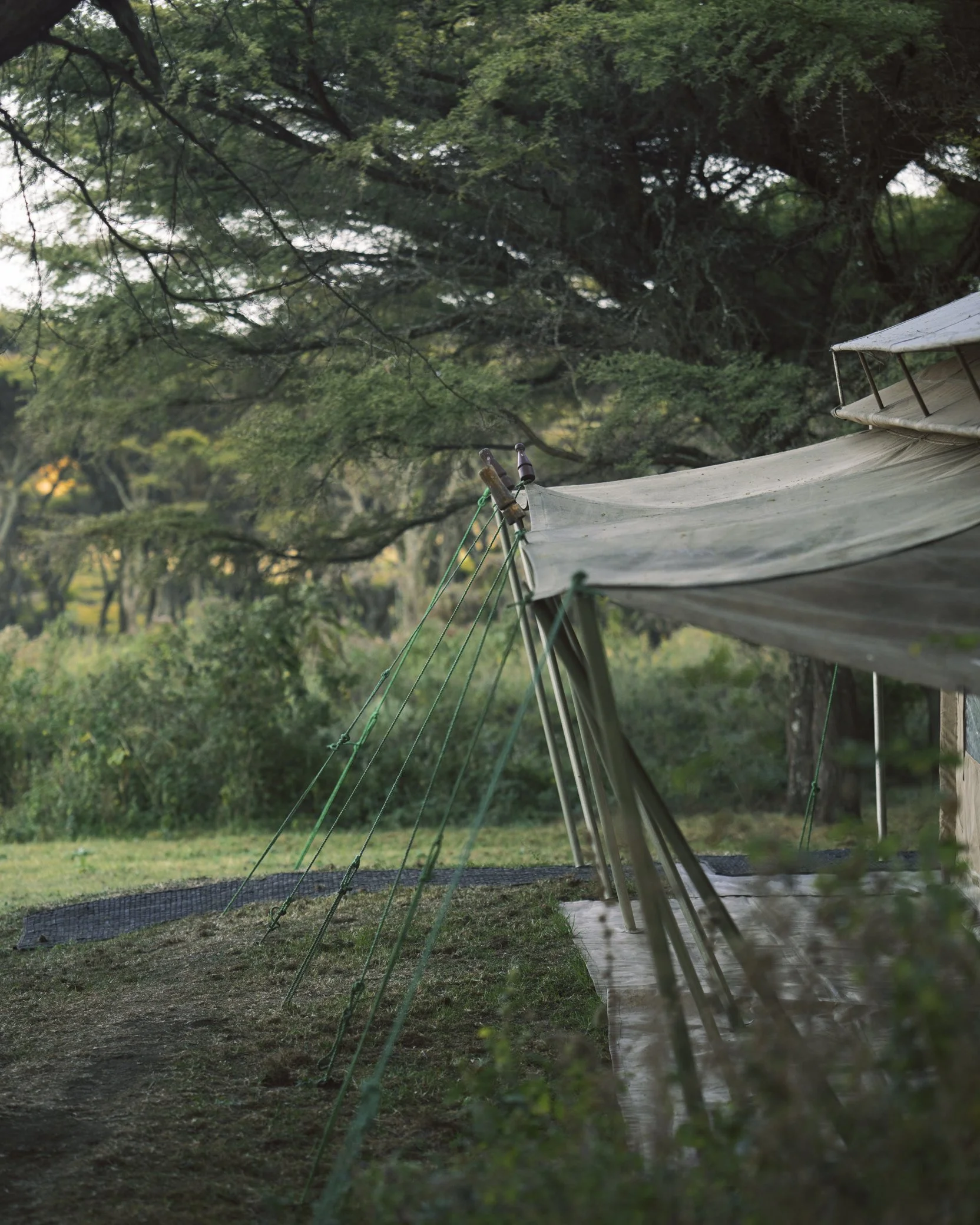 A rustic outdoor tent with a sloped roof, set up on a grassy area surrounded by green trees, possibly in a park or backyard, during daylight.