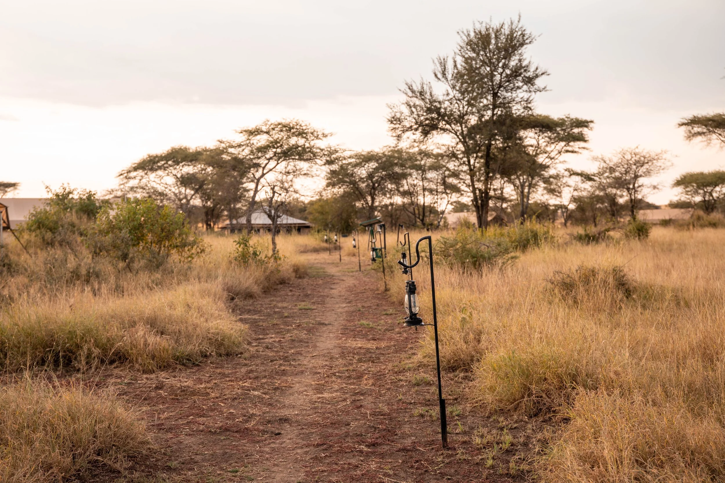A rural landscape during sunset with dry grass, scattered trees, and a dirt pathway with outdoor gym equipment. Small buildings are visible in the background against a cloudy sky.