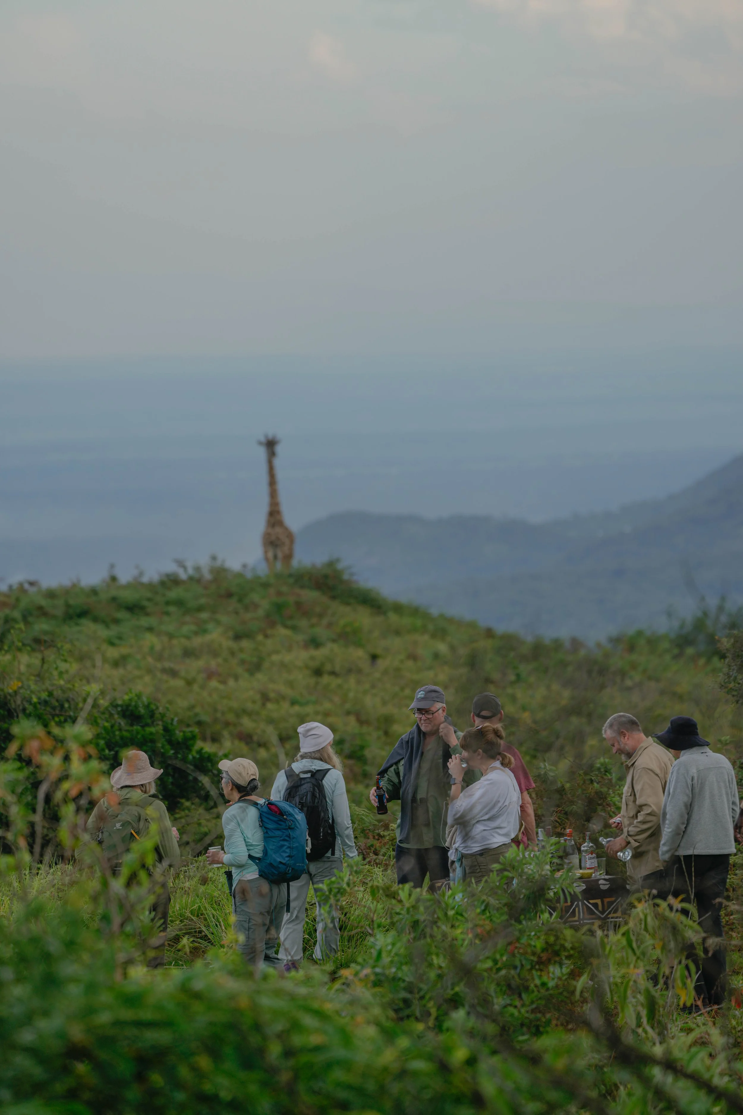A group of people outdoors in a green field, with hills and a giraffe in the background, under a cloudy sky.