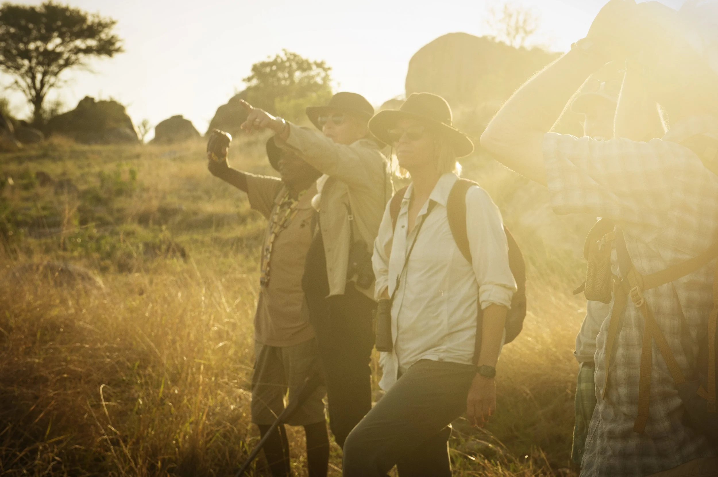Group of people hiking outdoors during sunset, wearing hats and backpacks, standing on a grassy trail with trees in the background.