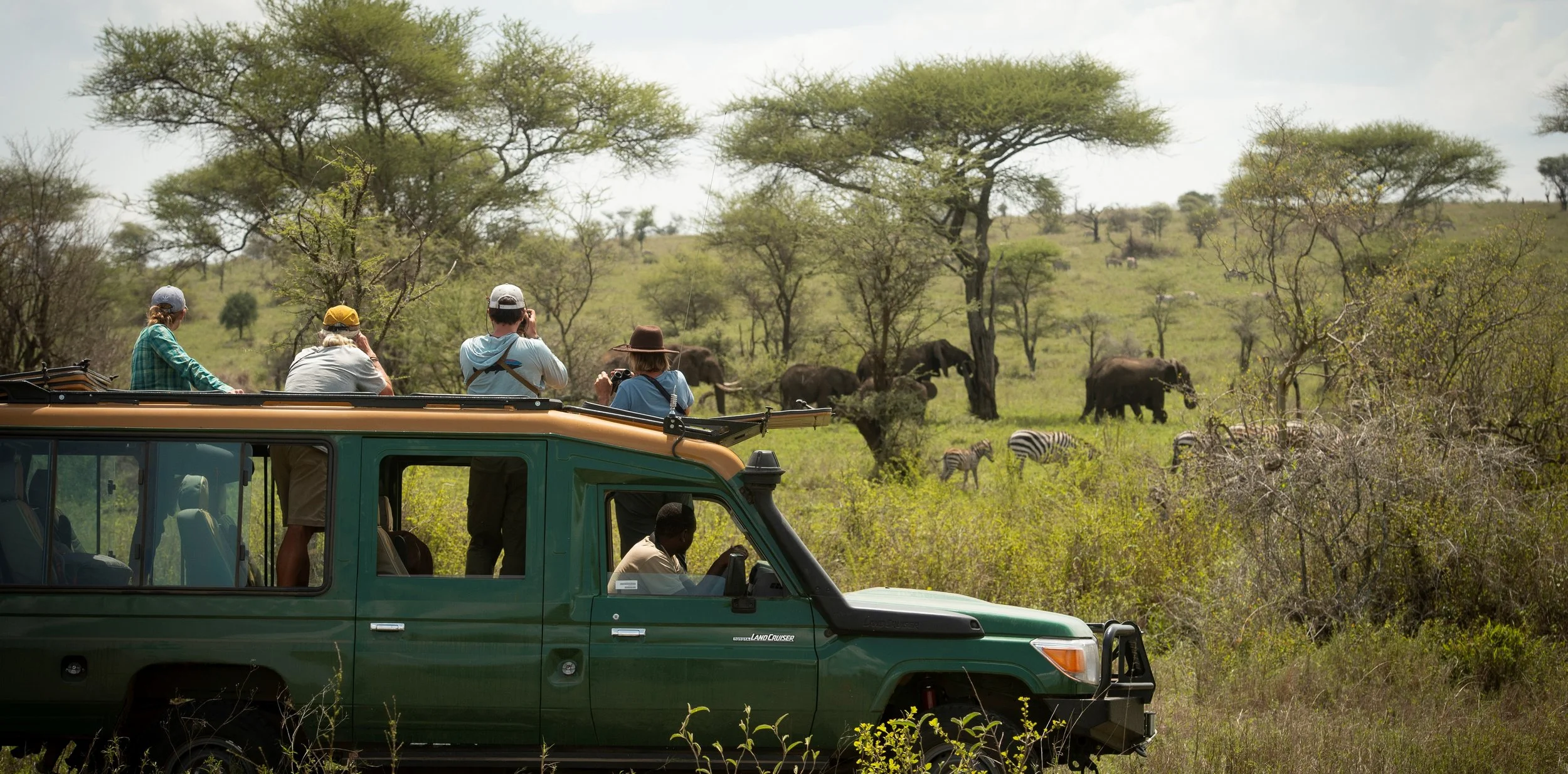 Tourists on a safari vehicle observing elephants and zebras in an African savanna.
