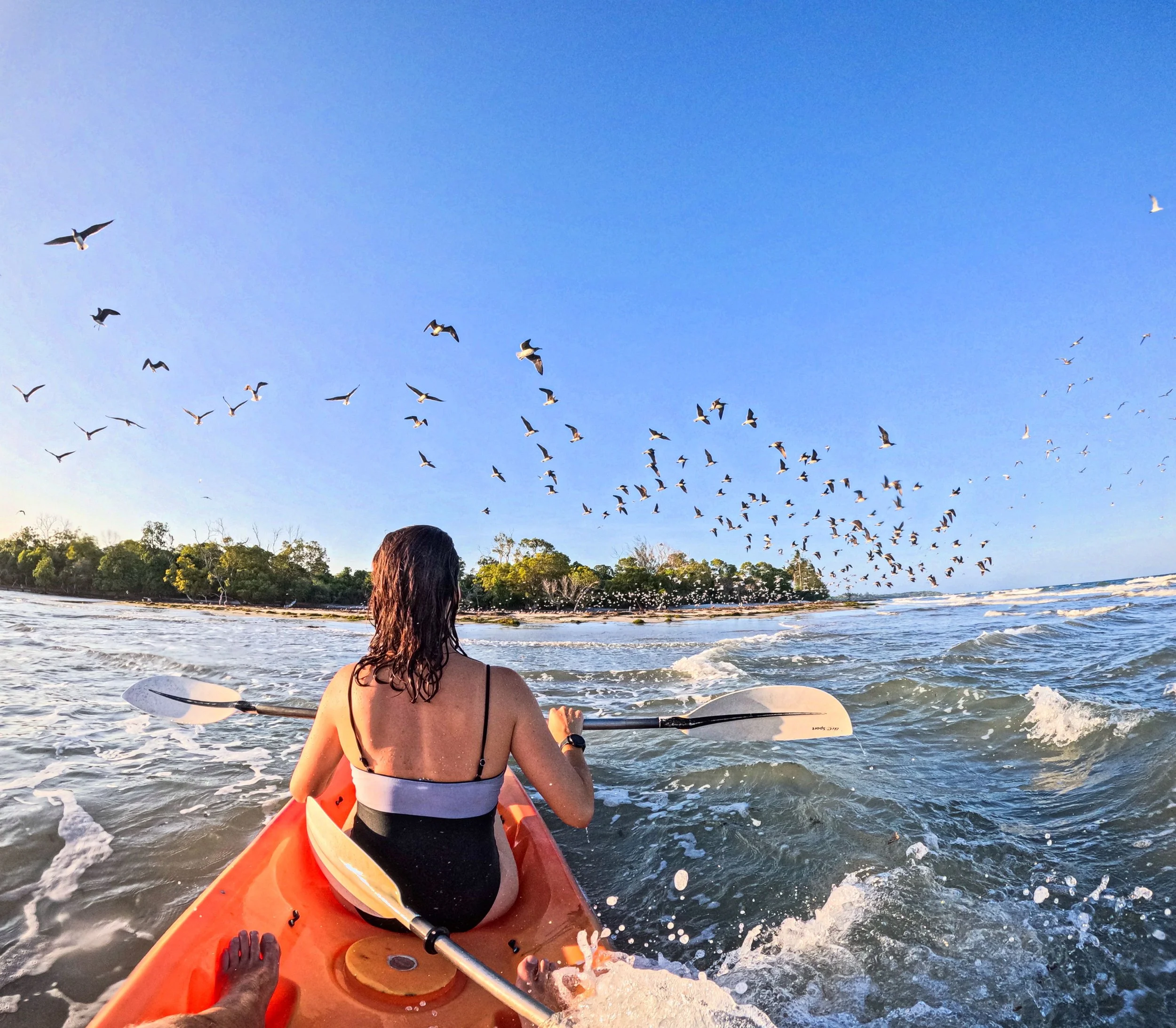 A woman in a swimsuit on a kayak in the ocean with a padal in her hand with birds flying in the background