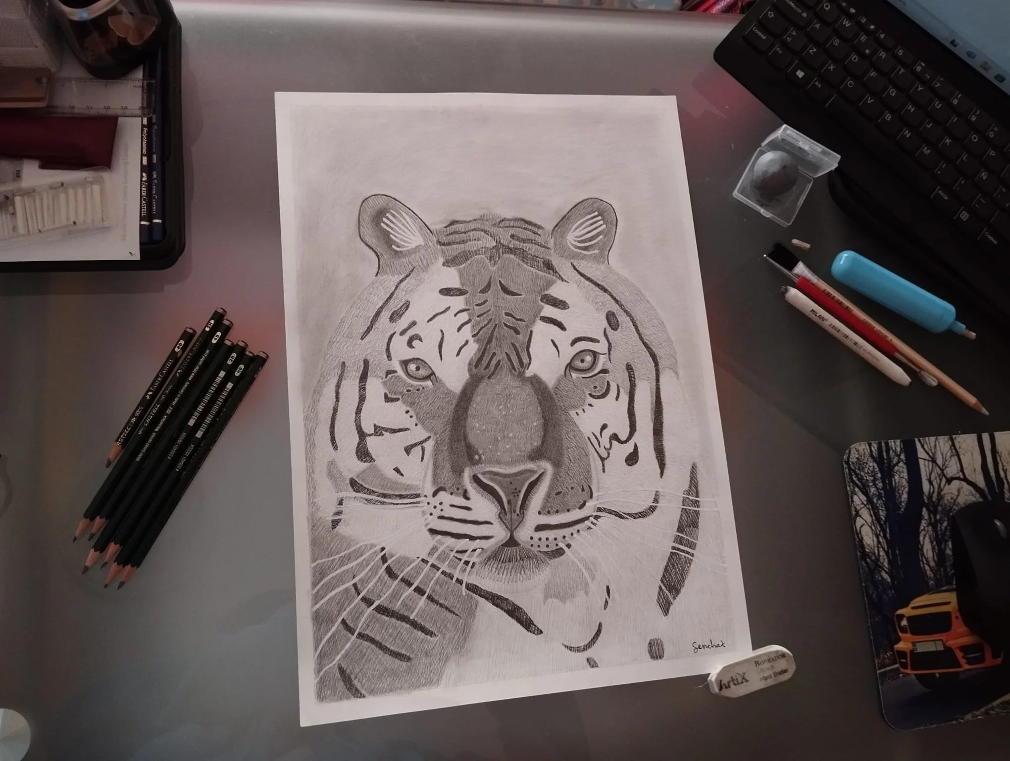 Tigre Proyecto 2.jpg