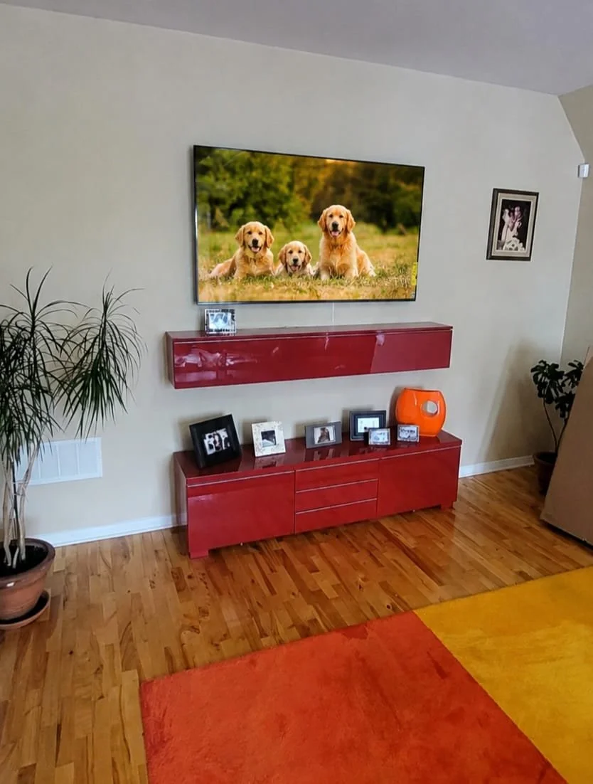 Salon avec télévision, meuble rouge, plusieurs cadres photo, plante d'intérieur, tapis orange et jaune, et une photo de chiens à l'écran.