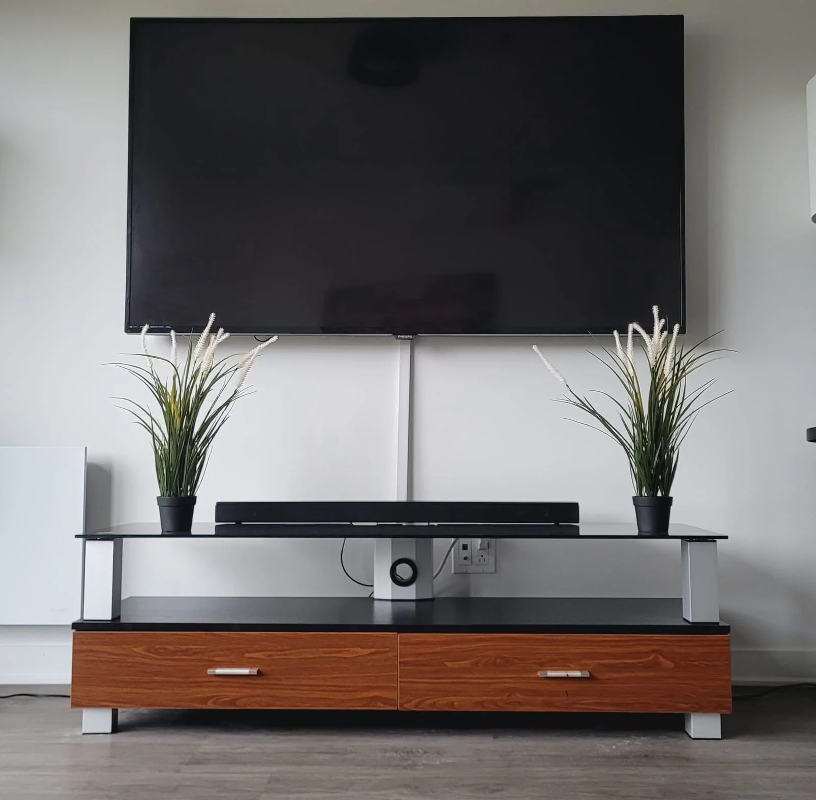 Un meuble en bois avec deux tiroirs, deux plantes en pot noir, une télévision à écran plat, et une console noire en dessous, dans un salon moderne.