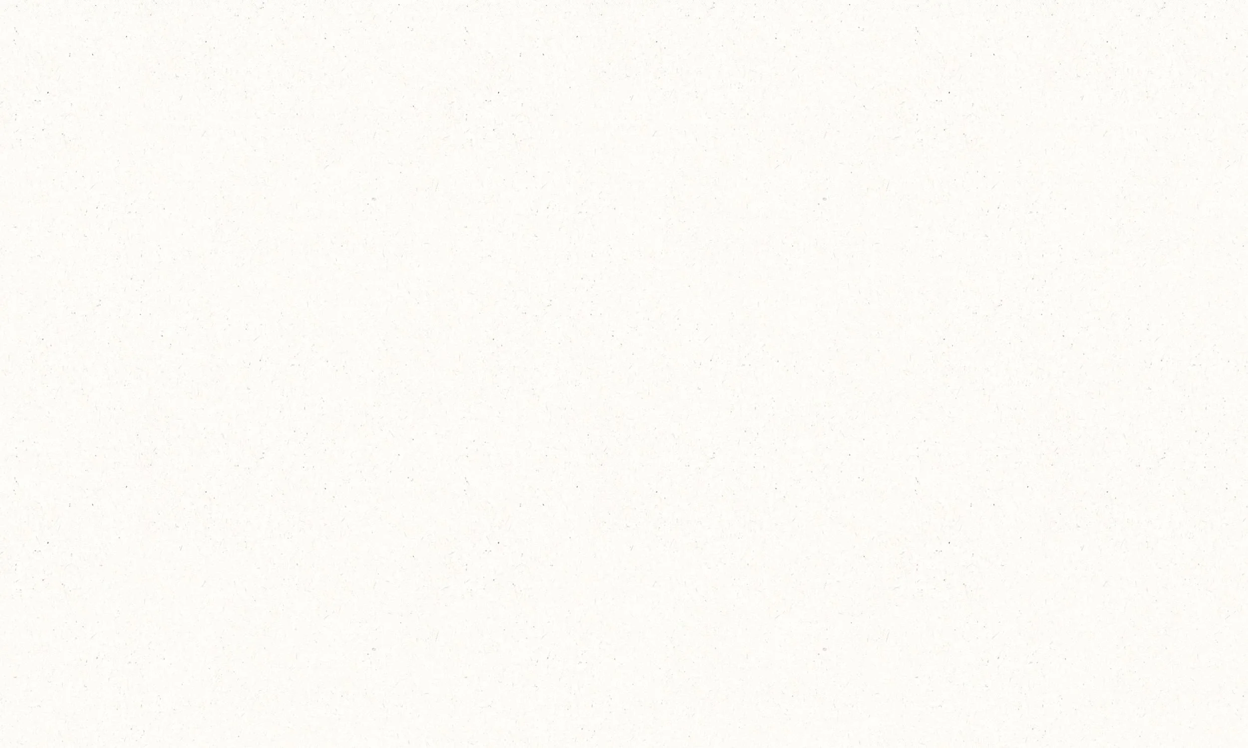 Blank white textured paper background.