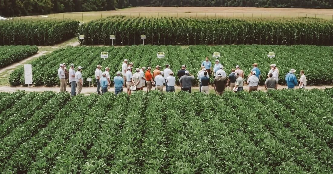 Group of people standing in rows in a large farm with green crops and signs, surrounded by trees in the background.