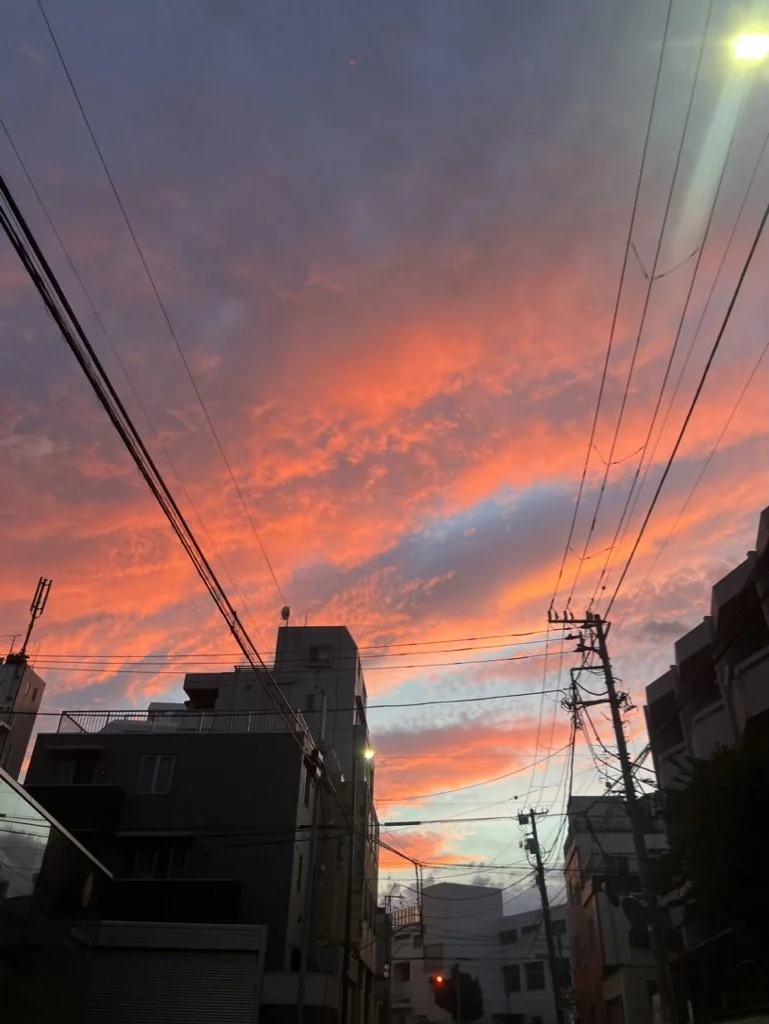 1D7C99E2-C870-4BA0-A72E-53539BFA60B5_1_105_c.jpeg