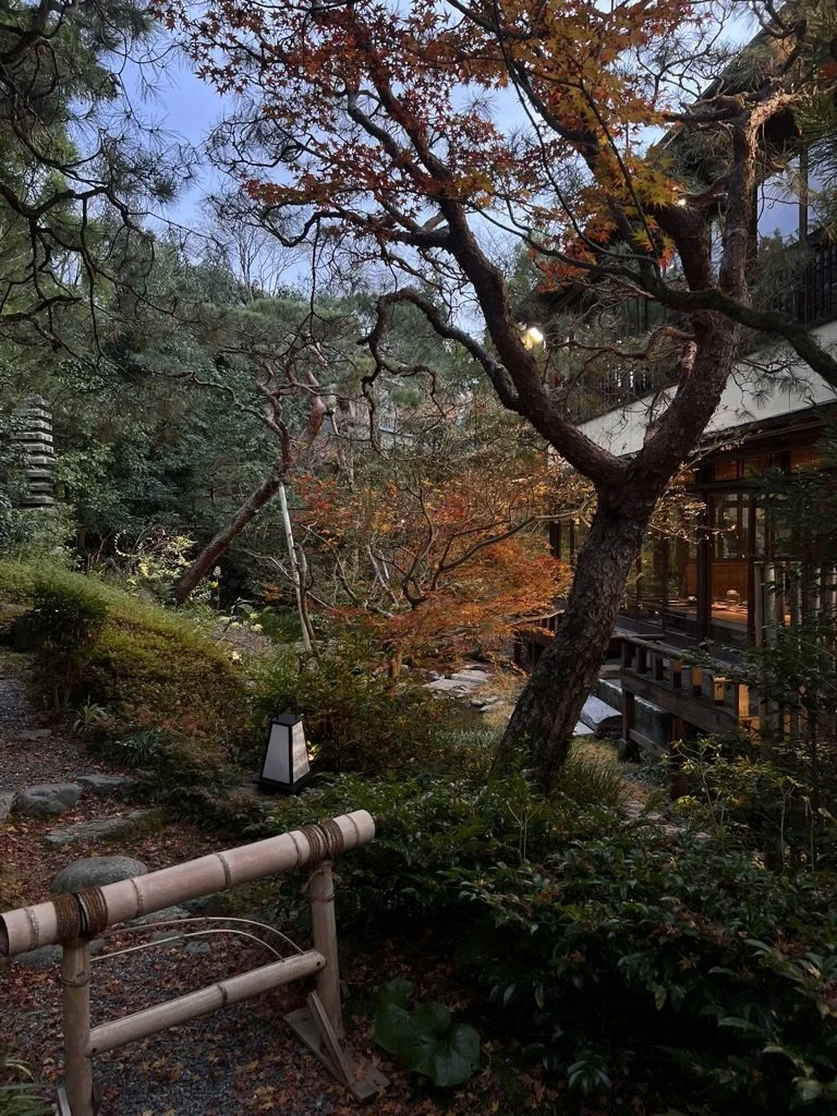 ABF577DE-F96B-413A-A8AB-C7FD7DD863C0_1_105_c.jpeg