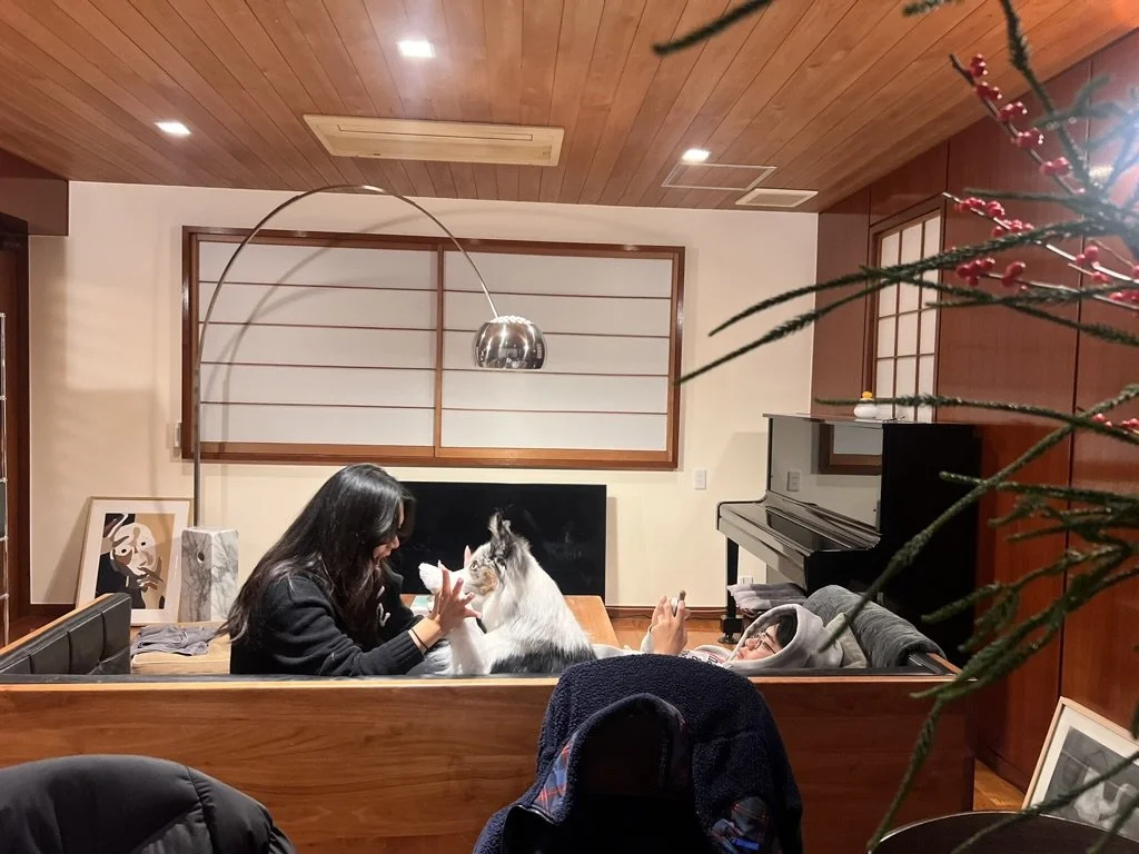 F9C1D4D9-7178-495F-9C19-2A47632F352B_1_105_c.jpeg