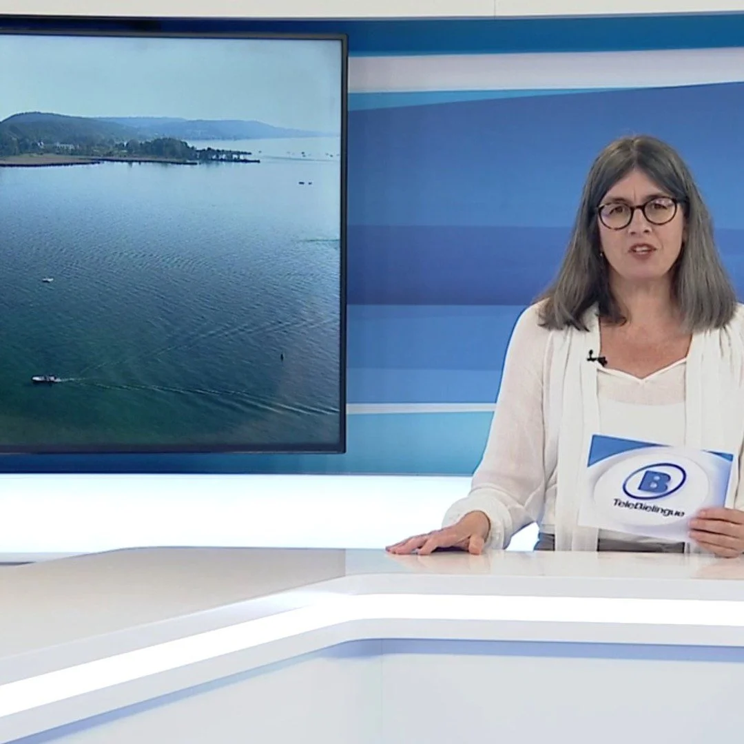 In der heutigen News Sendung von TeleBielingue ist ein sehenswerter Bericht &uuml;ber die IG S&uuml;dufer. Leider mit einer Falschaussage von Pro Natura, dass ab Gerolfingen bis Biel es zu keinen weiteren Einschr&auml;nkungen kommt. Was ist mit der M