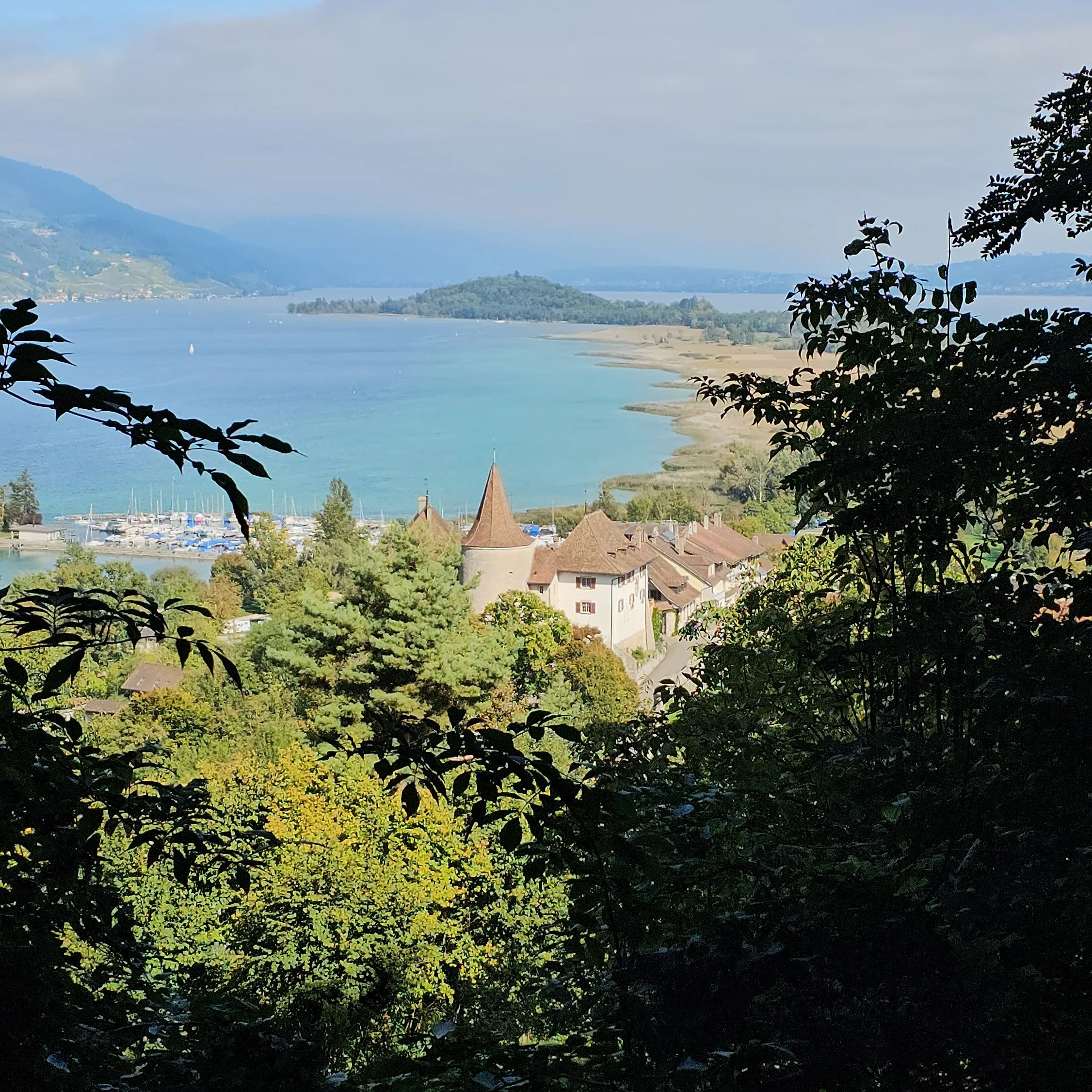 Podium ohne BirdLife &ndash; das spricht f&uuml;r sich.

F&uuml;r ein geplantes Podium "N&uuml;tzen &amp; Sch&uuml;tzen am Bielersee" hat BirdLife abgesagt. 
Keine Fachperson verf&uuml;gbar &ndash; bei einem Thema, das sie sonst laut kommen