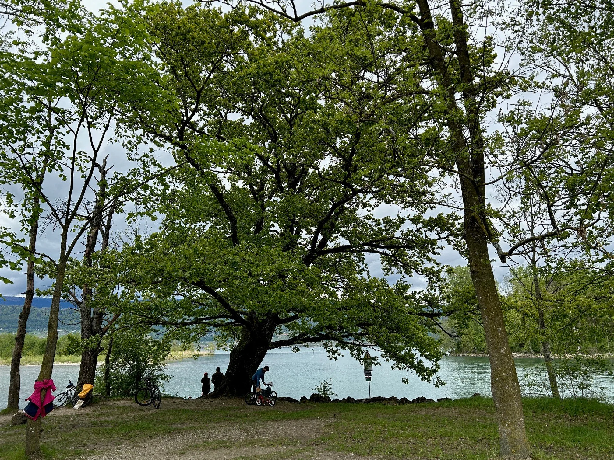 Ein See umgeben von Bäumen, mit Blick auf das Wasser und den Himmel, am Ufer stehen Bänke und Fahrräder, einige Menschen sind unterwegs.