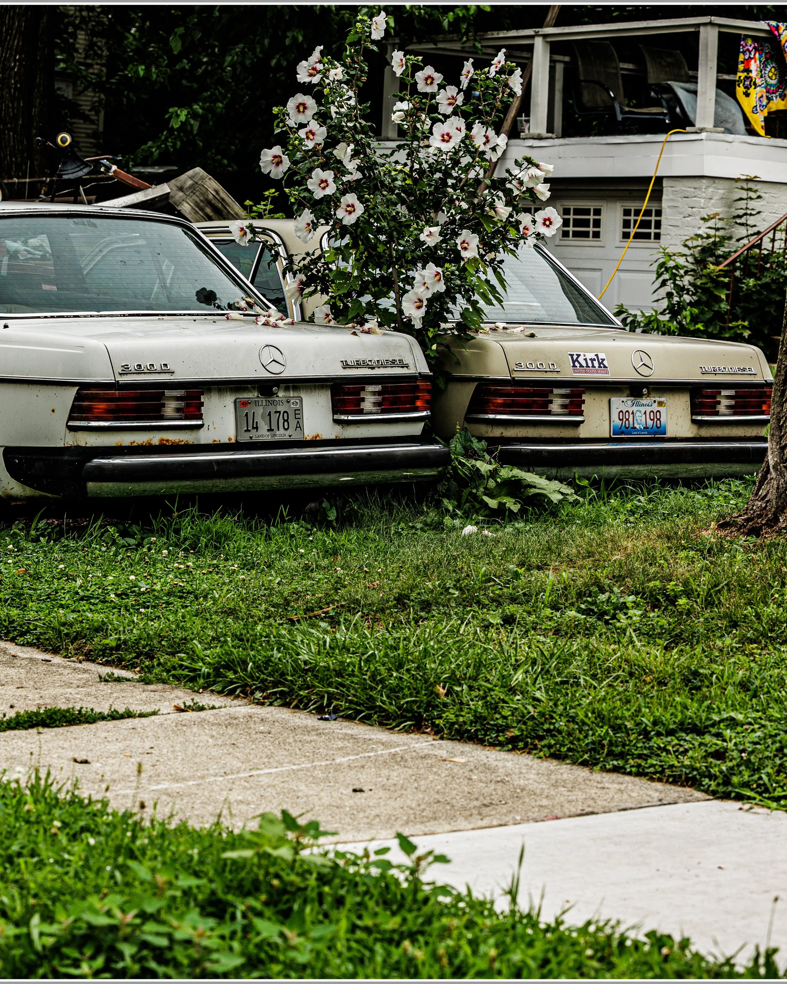 Something I found interesting within my community. Two Mercedes, same year and model, different colors. What happened here? One for parts, maybe ...
