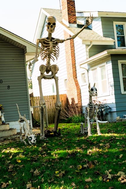 Halloween Display-11.jpg