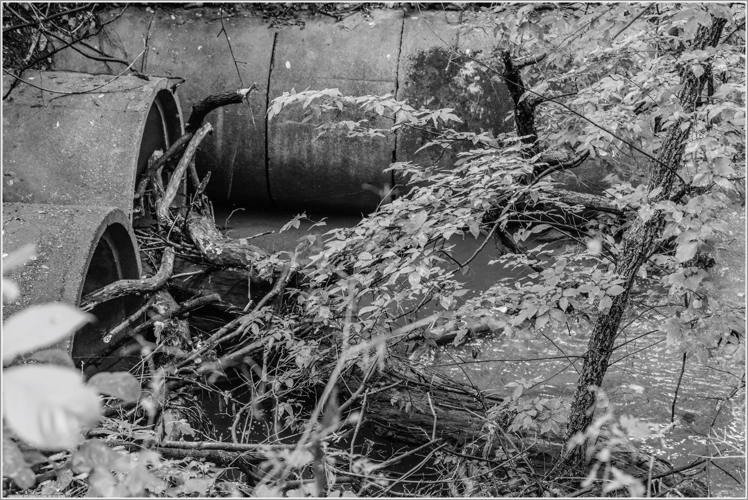south waukegan river blockage.jpg